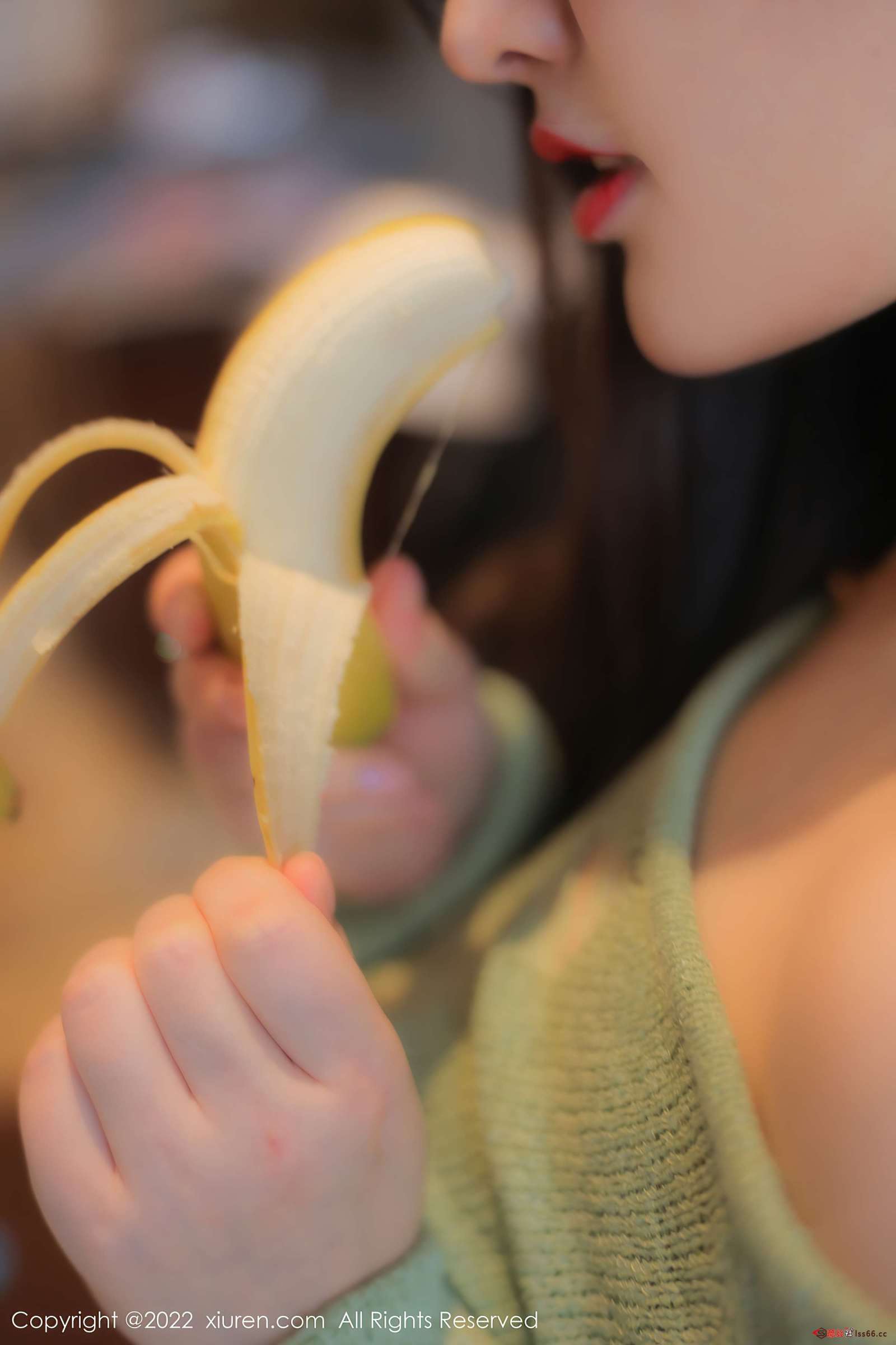 https://www.lss77.com/wp-content/uploads/2022/12/0021-152-1600x2400.jpg