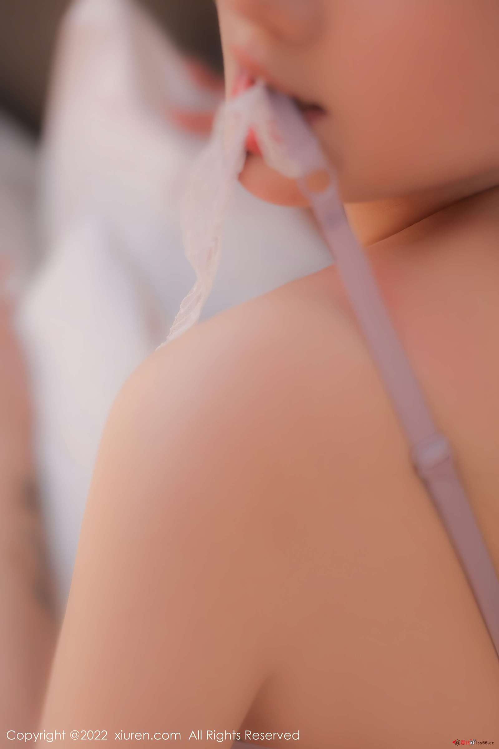 https://www.lss77.com/wp-content/uploads/2022/12/0068-66-1600x2400.jpg