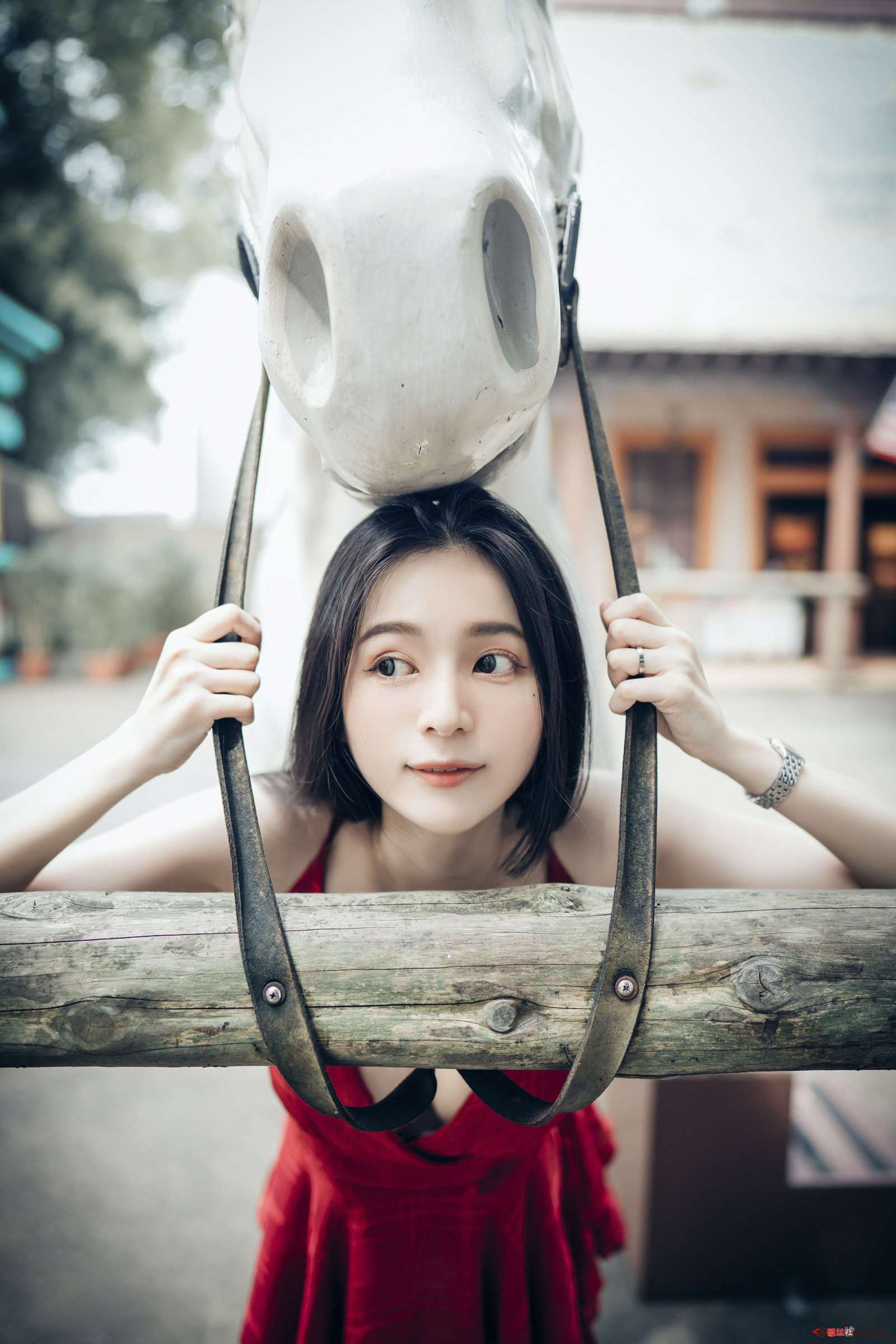 https://www.lss77.com/wp-content/uploads/2022/12/014-236-1600x2400.jpg