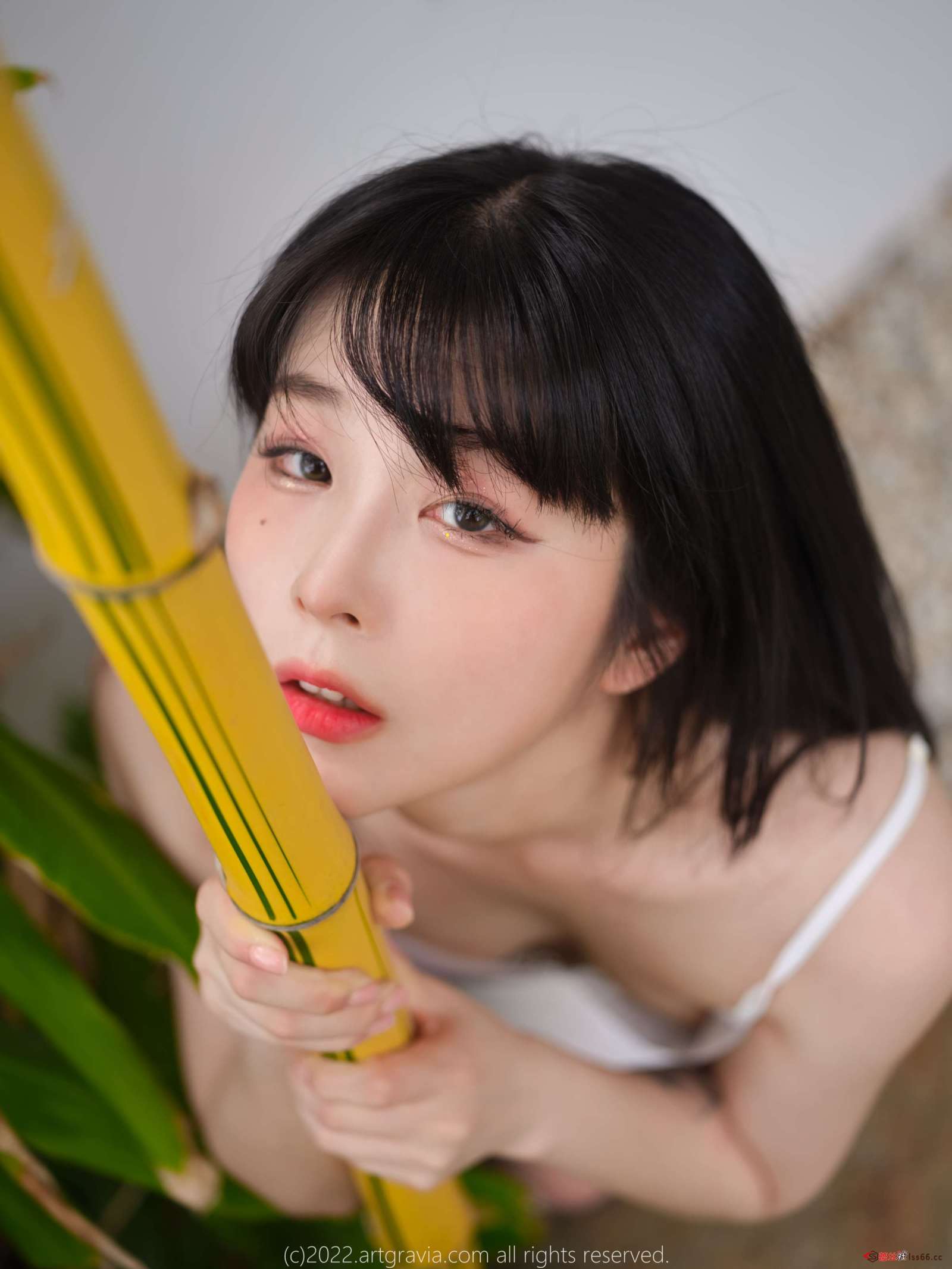 https://www.lss77.com/wp-content/uploads/2022/12/018-117-1600x2133.jpg