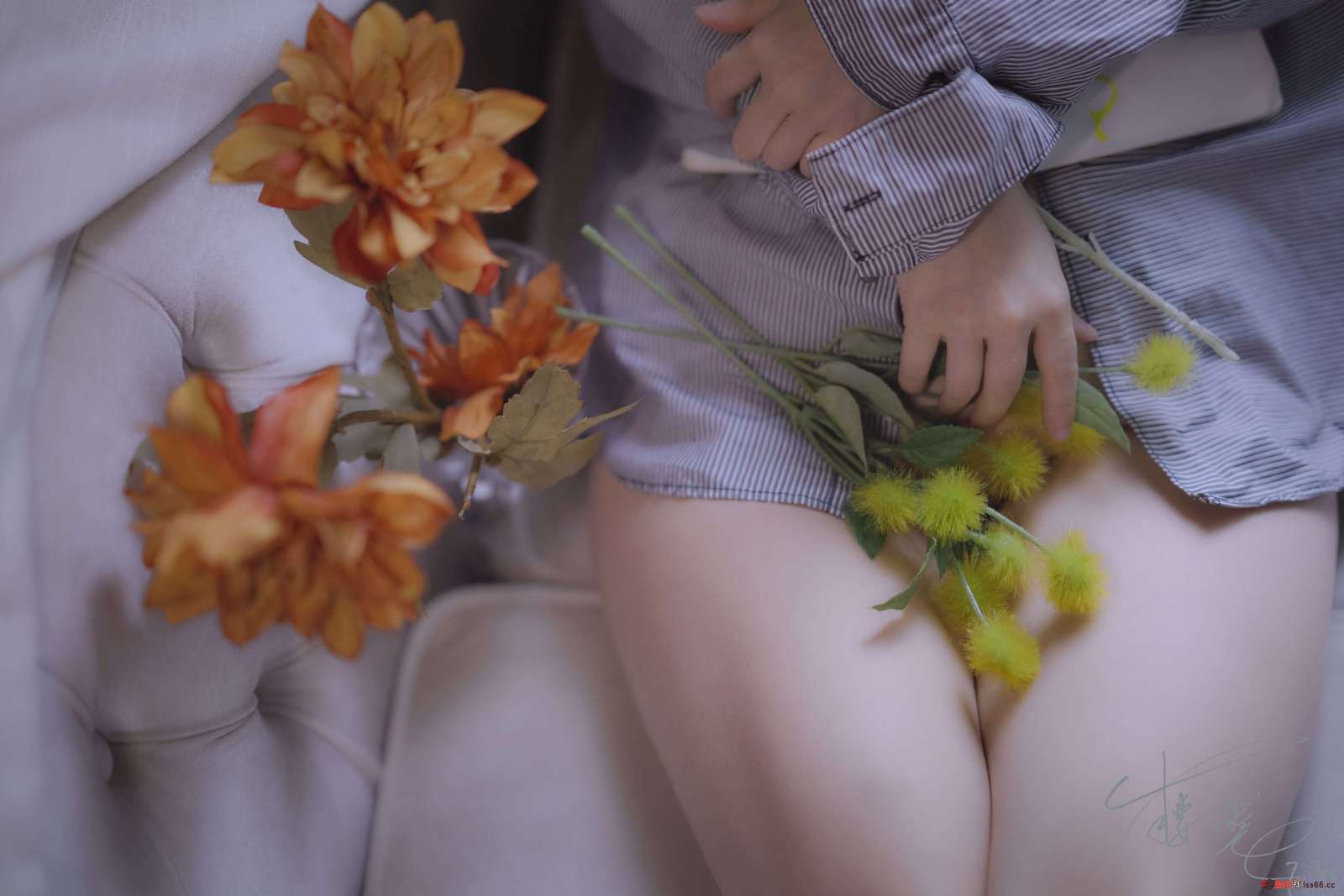 https://www.lss77.com/wp-content/uploads/2022/12/018-198-1600x1067.jpg