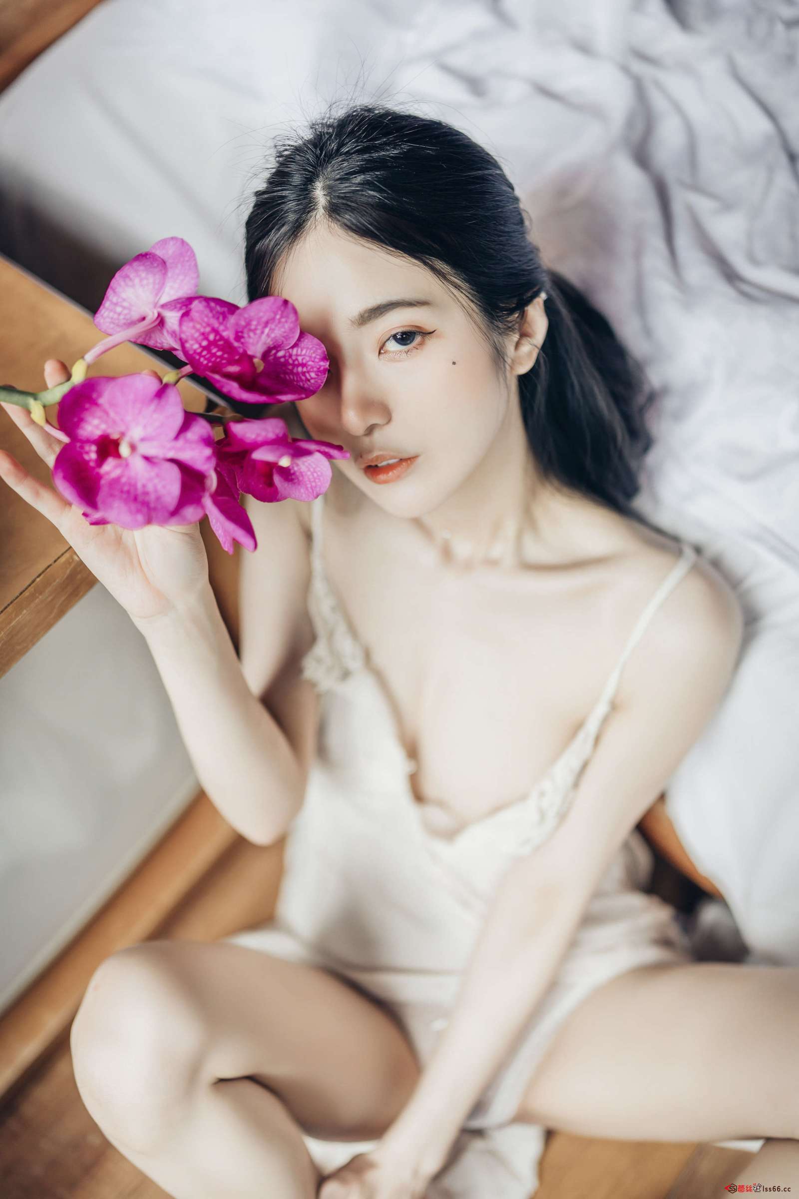 https://www.lss77.com/wp-content/uploads/2022/12/085-39-1600x2400.jpg