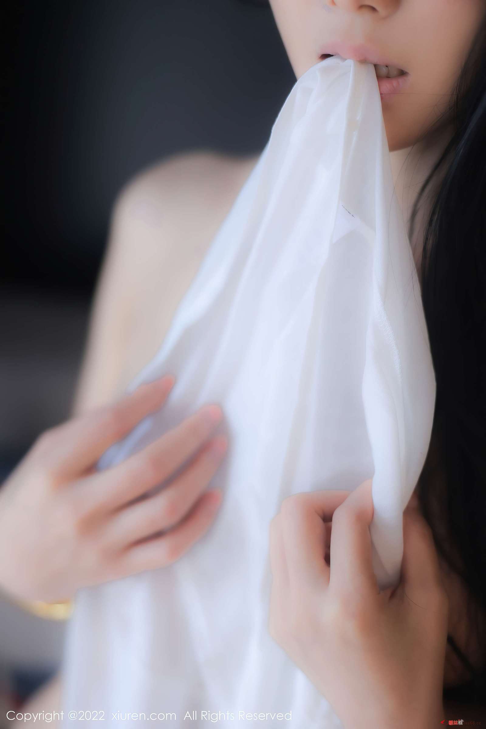 https://www.lss77.com/wp-content/uploads/2022/12/093-11-1600x2400.jpg