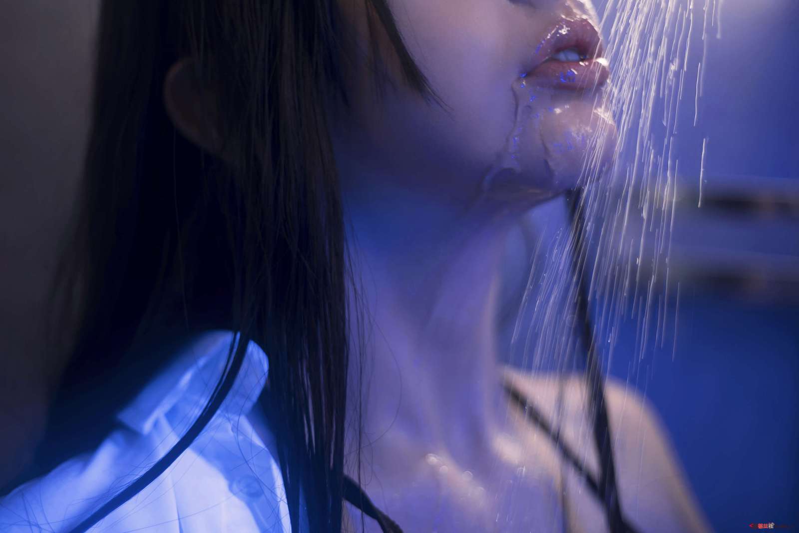 https://www.lss77.com/wp-content/uploads/2022/12/3-72-1600x1067.jpg