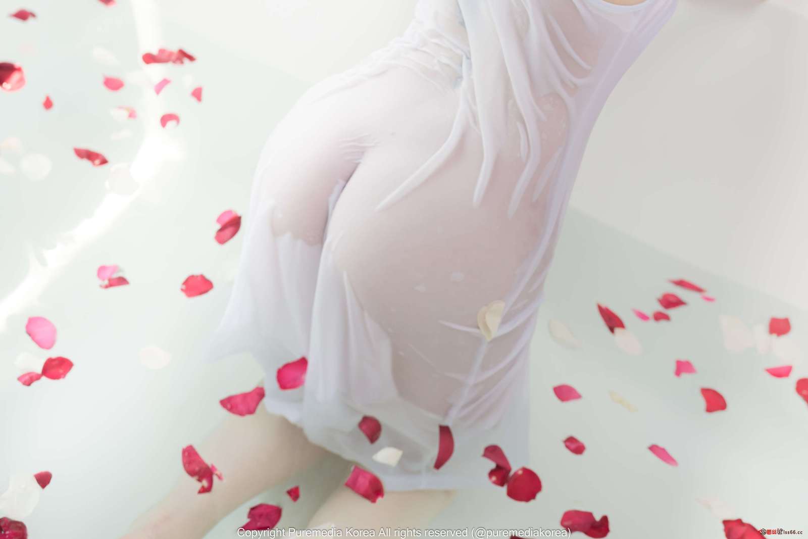 https://www.lss77.com/wp-content/uploads/2022/12/77-5-1600x1067.jpg