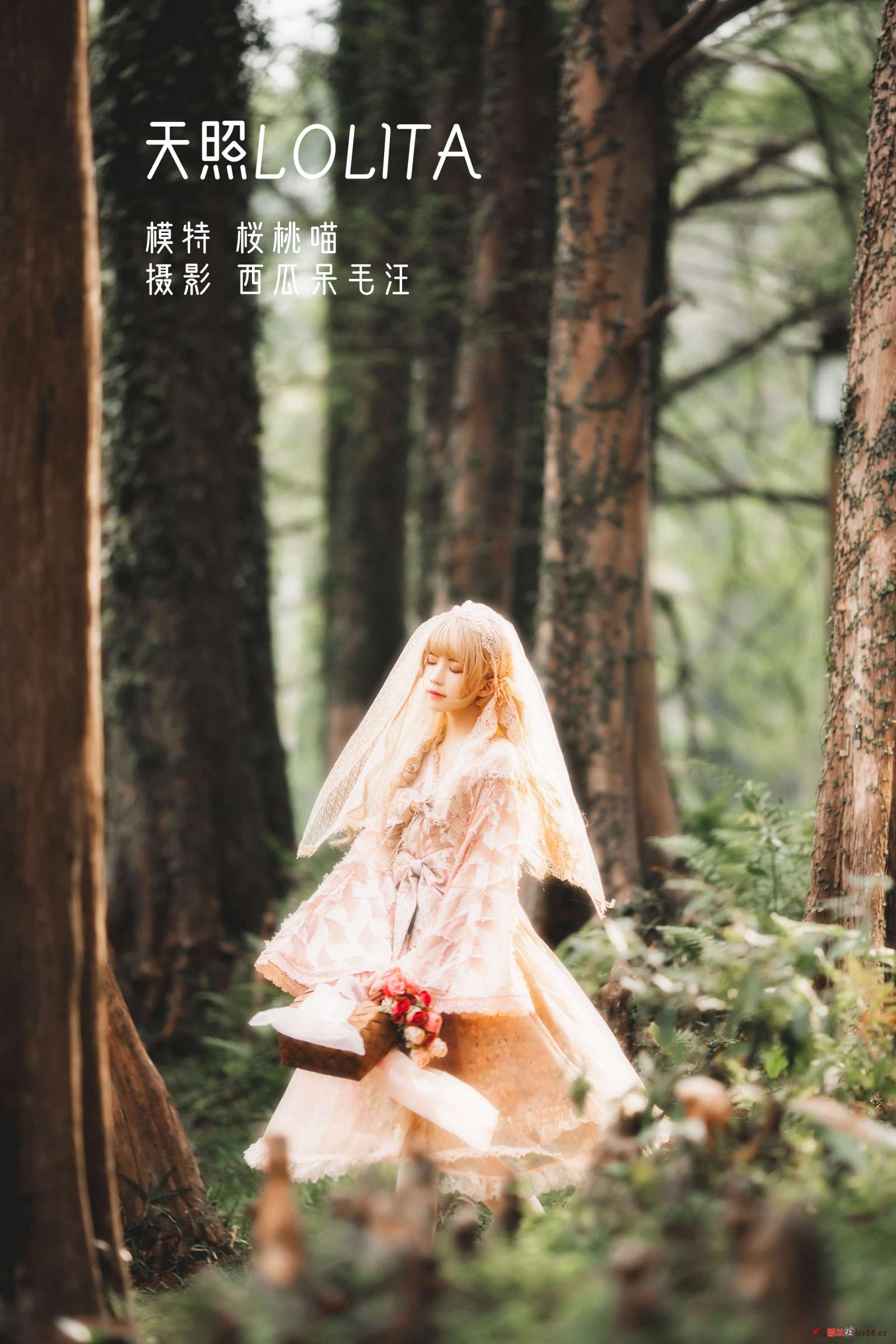 https://www.lss77.com/wp-content/uploads/2022/12/cover-246-1600x2400.jpg