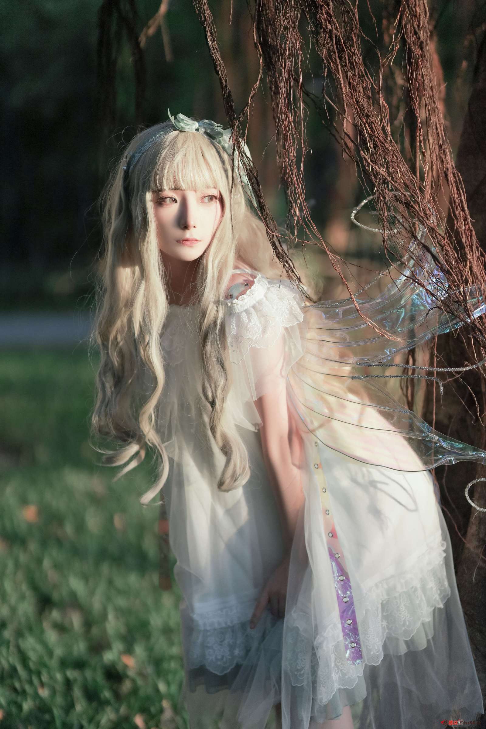 https://www.lss77.com/wp-content/uploads/2022/12/cover-369-1600x2400.jpg