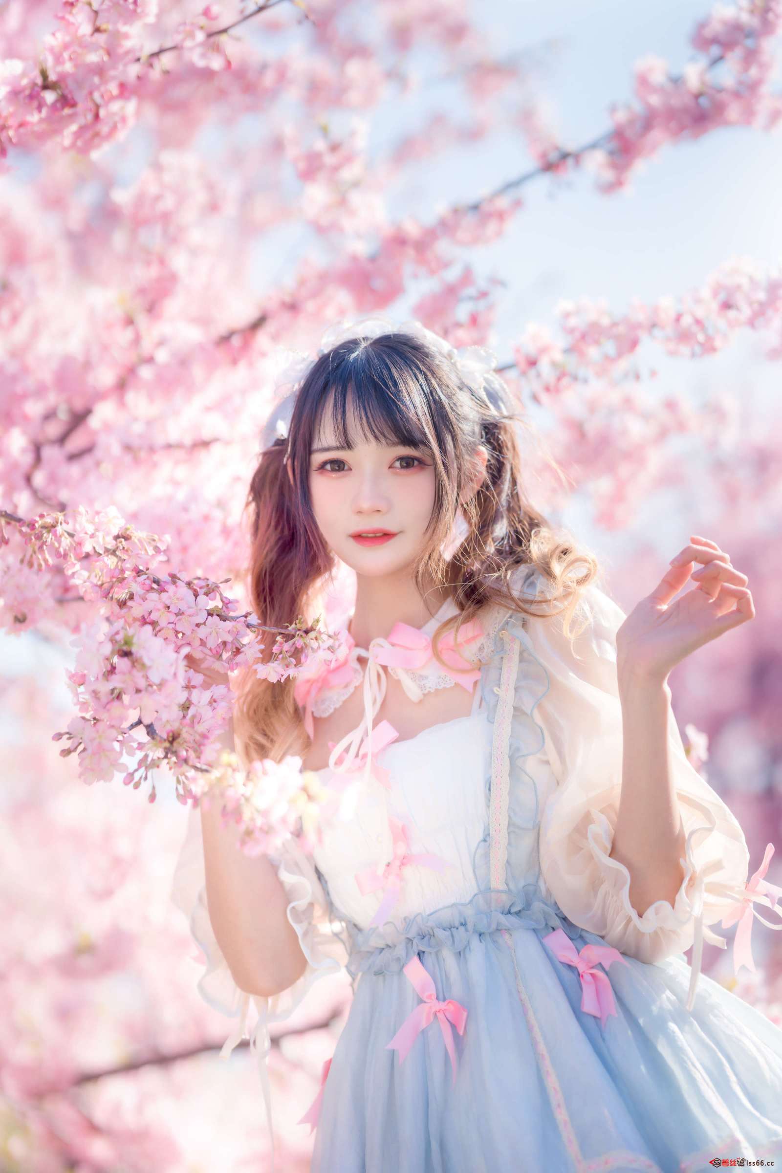 https://www.lss77.com/wp-content/uploads/2023/01/001-74-1600x2400.jpg