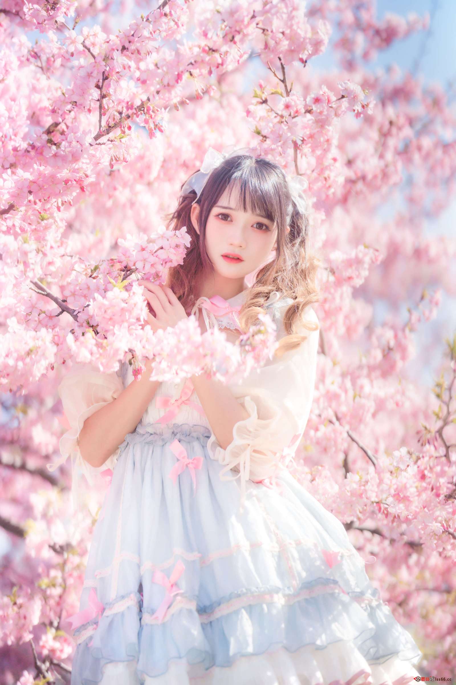 https://www.lss77.com/wp-content/uploads/2023/01/008-76-1600x2400.jpg