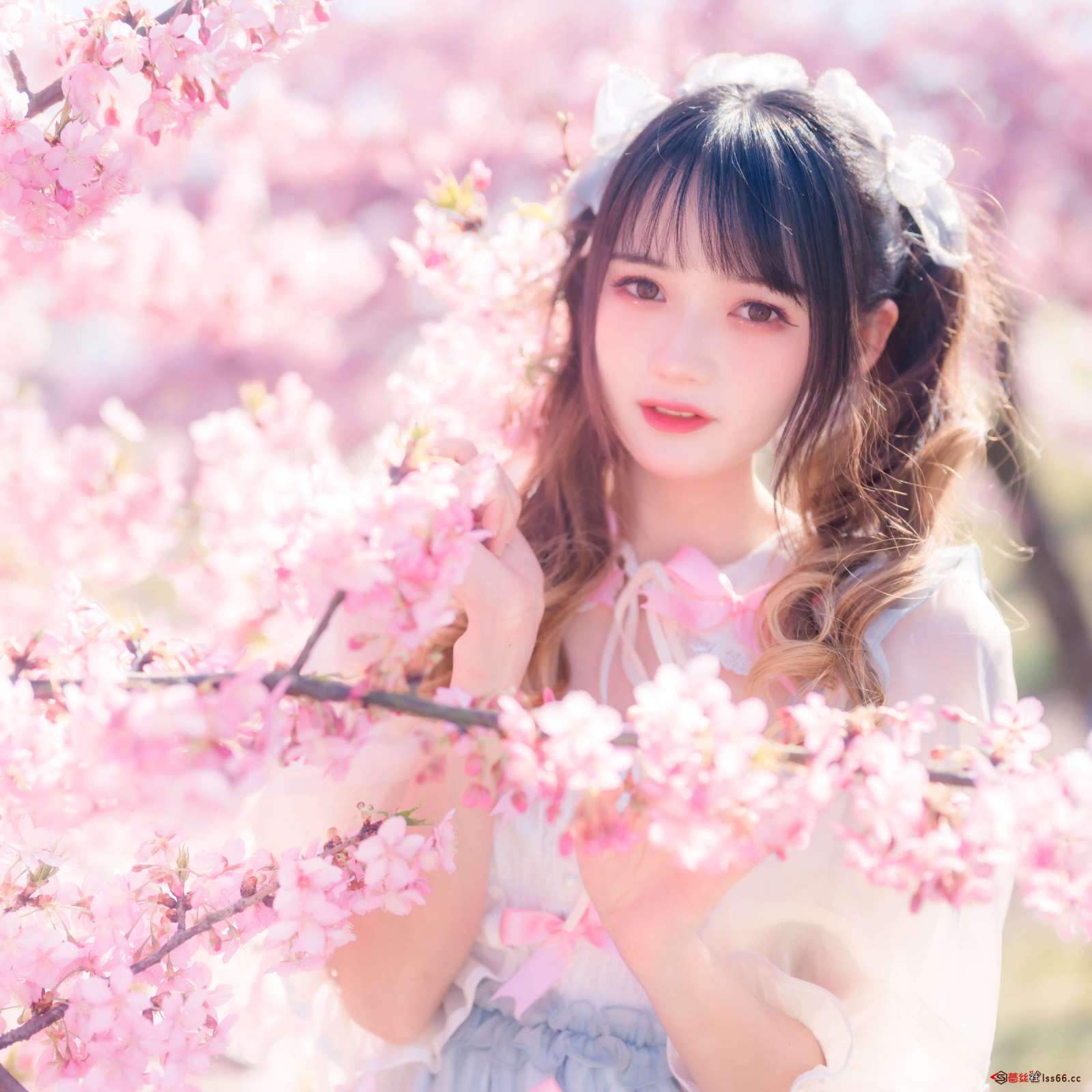 https://www.lss77.com/wp-content/uploads/2023/01/012-75-1600x1600.jpg