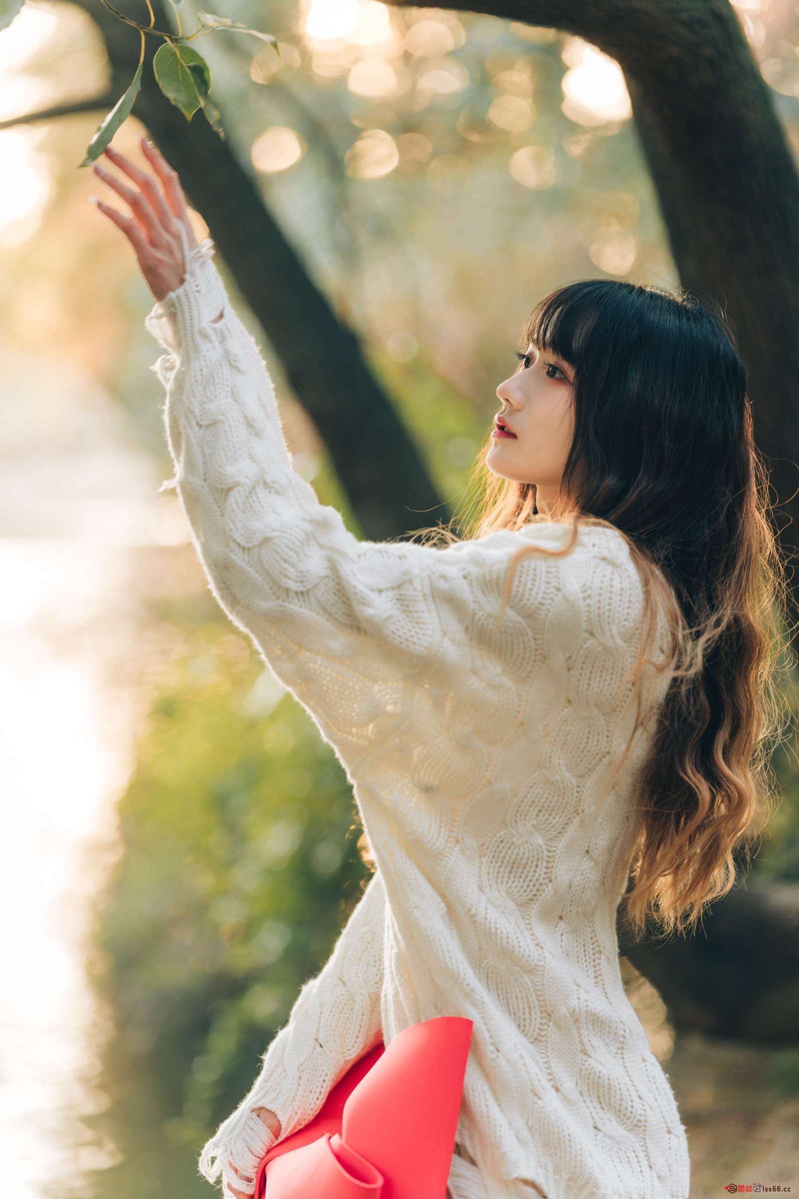 https://www.lss77.com/wp-content/uploads/2023/01/014-110-1600x2400.jpg