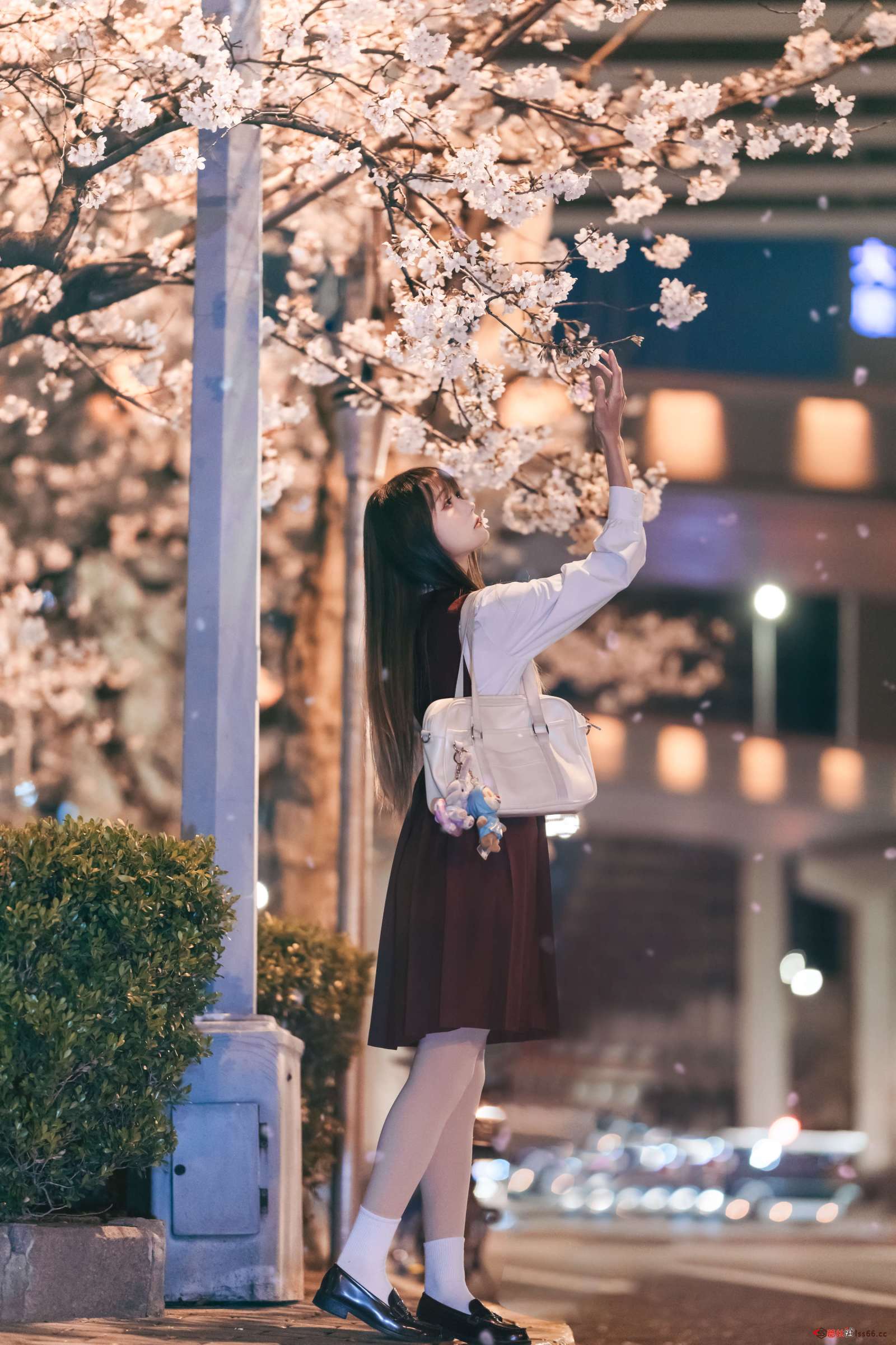 https://www.lss77.com/wp-content/uploads/2023/01/015-90-1600x2400.jpg