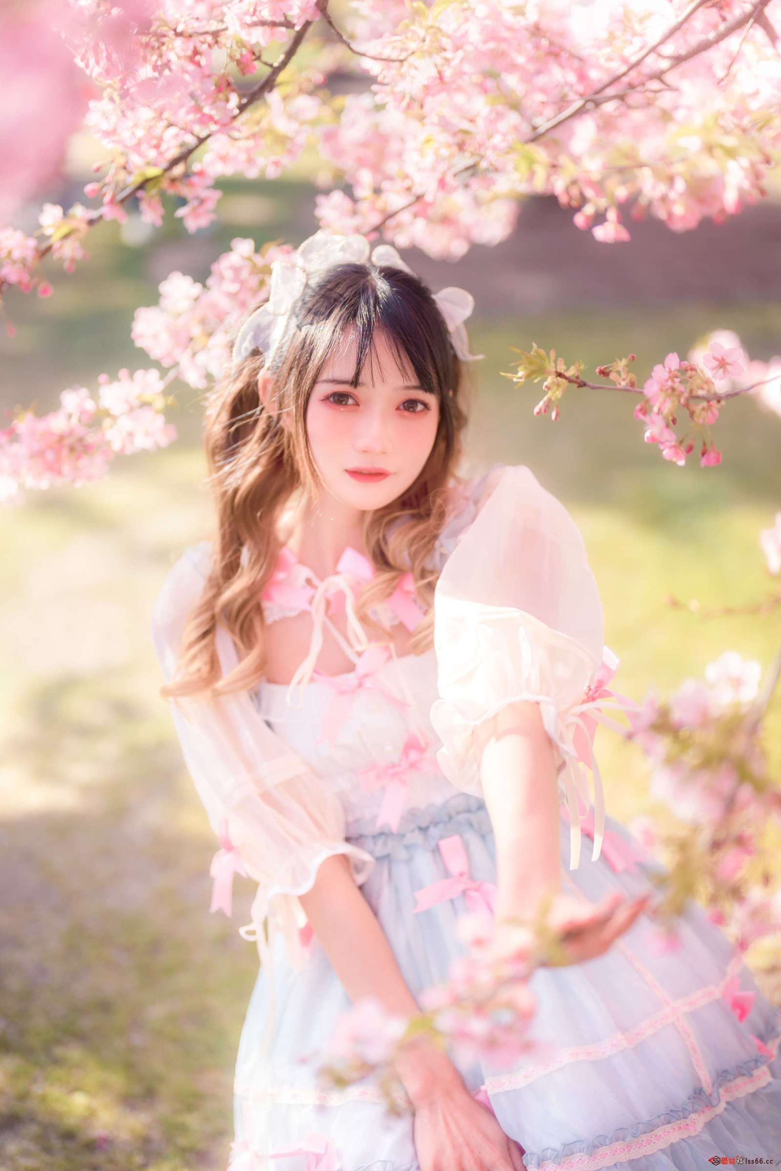 https://www.lss77.com/wp-content/uploads/2023/01/019-68-1600x2400.jpg
