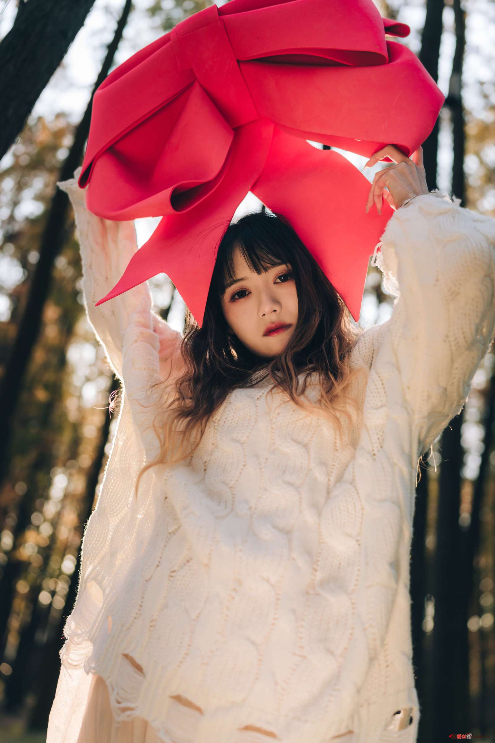 https://www.lss77.com/wp-content/uploads/2023/01/019-95-1600x2400.jpg