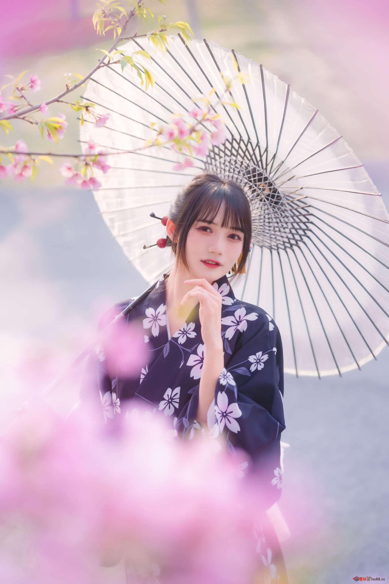 https://www.lss77.com/wp-content/uploads/2023/01/021-70-1600x2400.jpg