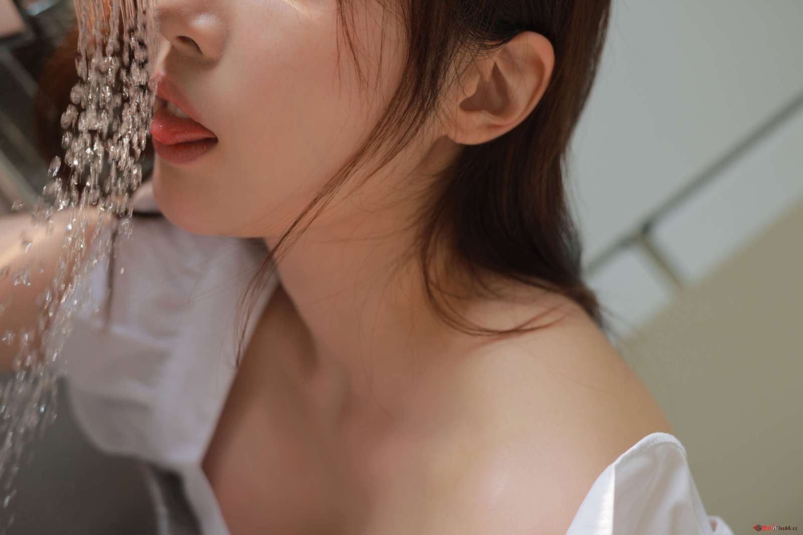 https://www.lss77.com/wp-content/uploads/2023/01/057-24-1600x1067.jpg