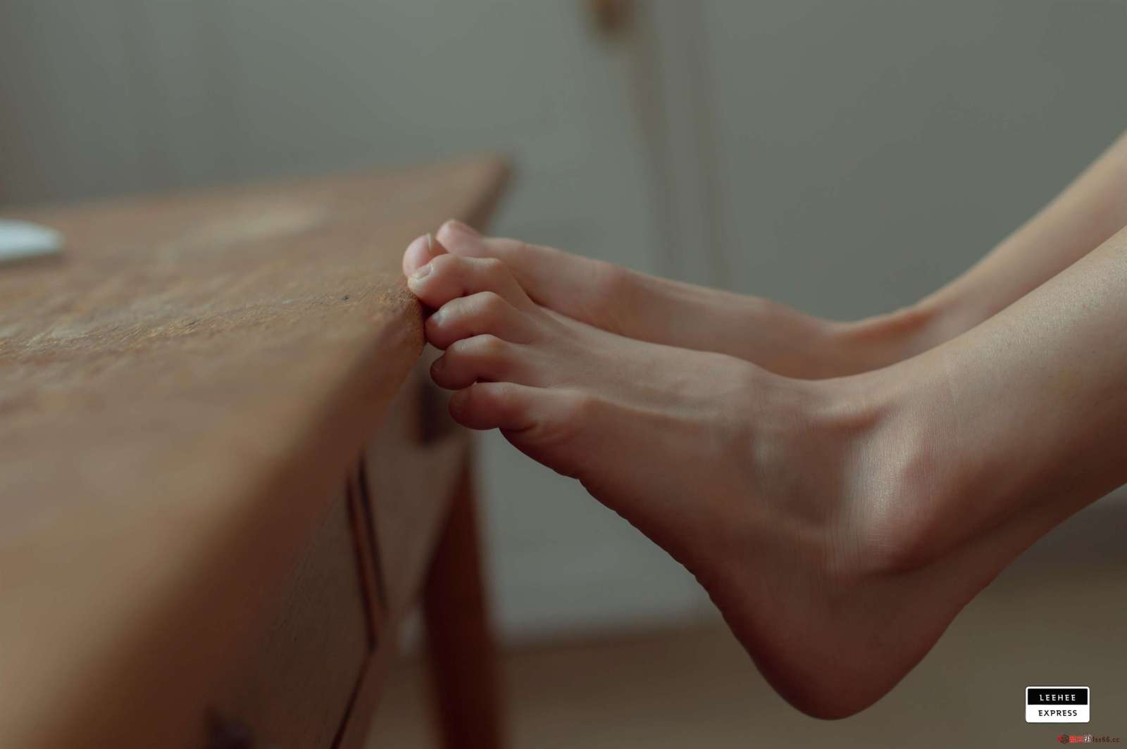https://www.lss77.com/wp-content/uploads/2023/01/1673257623-568628e0d993b19-1600x1064.jpg