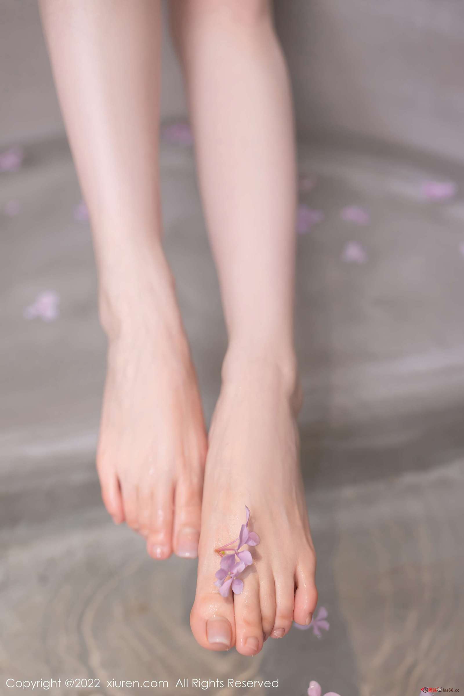 https://www.lss77.com/wp-content/uploads/2023/01/1673415265-728eef66ed28de1-1600x2400.jpg