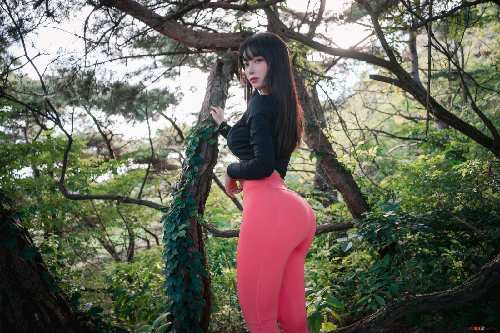 https://www.lss77.com/wp-content/uploads/2023/01/1673519817-aecdffd6ed3edae-1600x1067.jpg