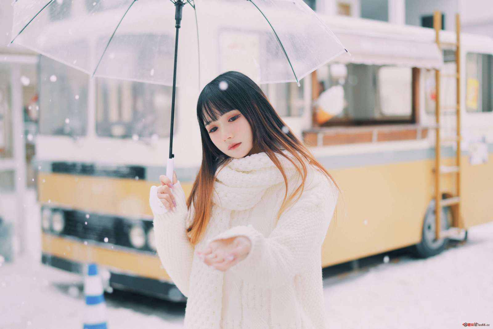 https://www.lss77.com/wp-content/uploads/2023/01/1673614219-84eb13cfed01764-1600x1067.jpg