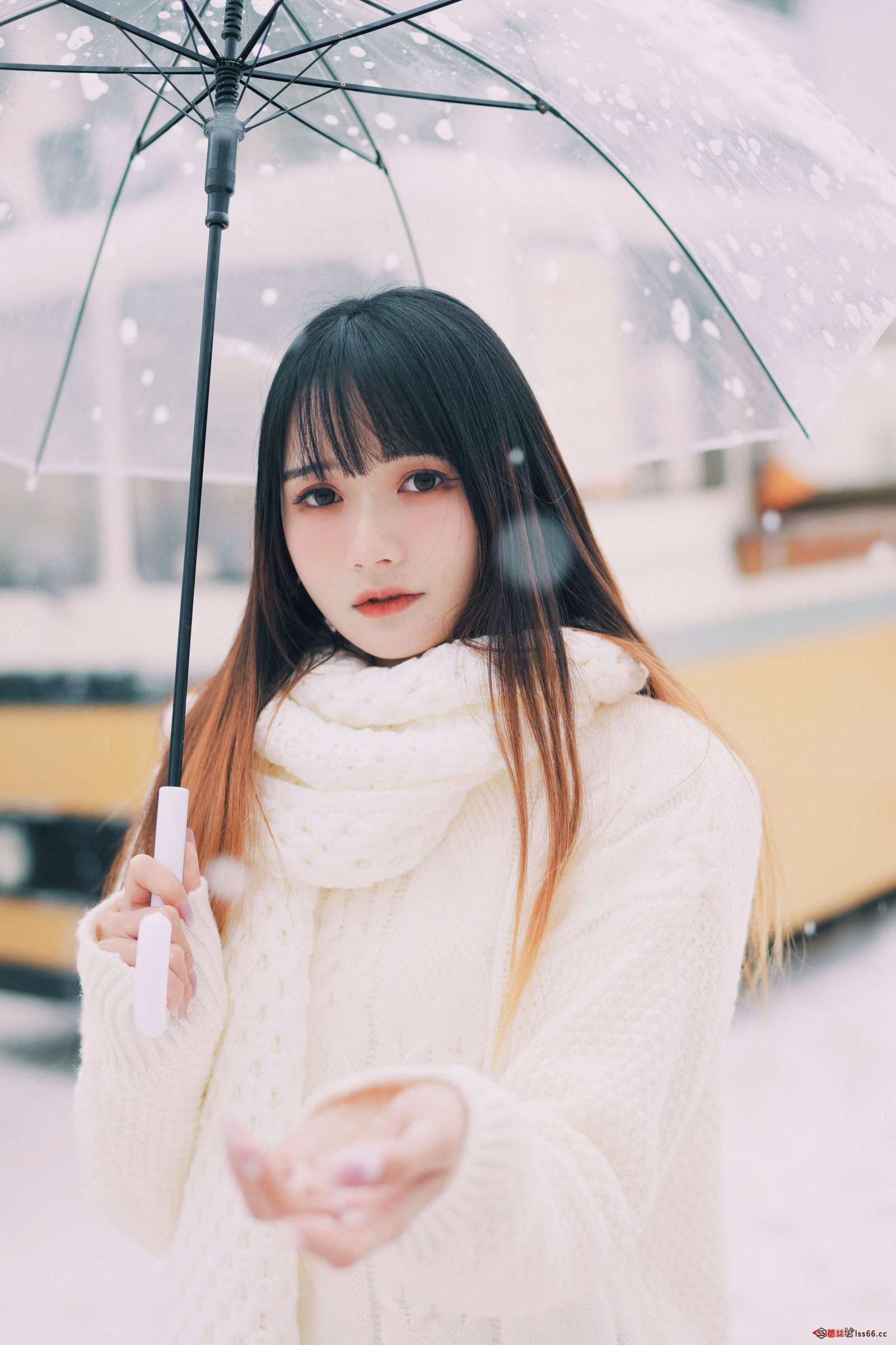 https://www.lss77.com/wp-content/uploads/2023/01/1673614277-af032fbcb07ffc7-1600x2400.jpg