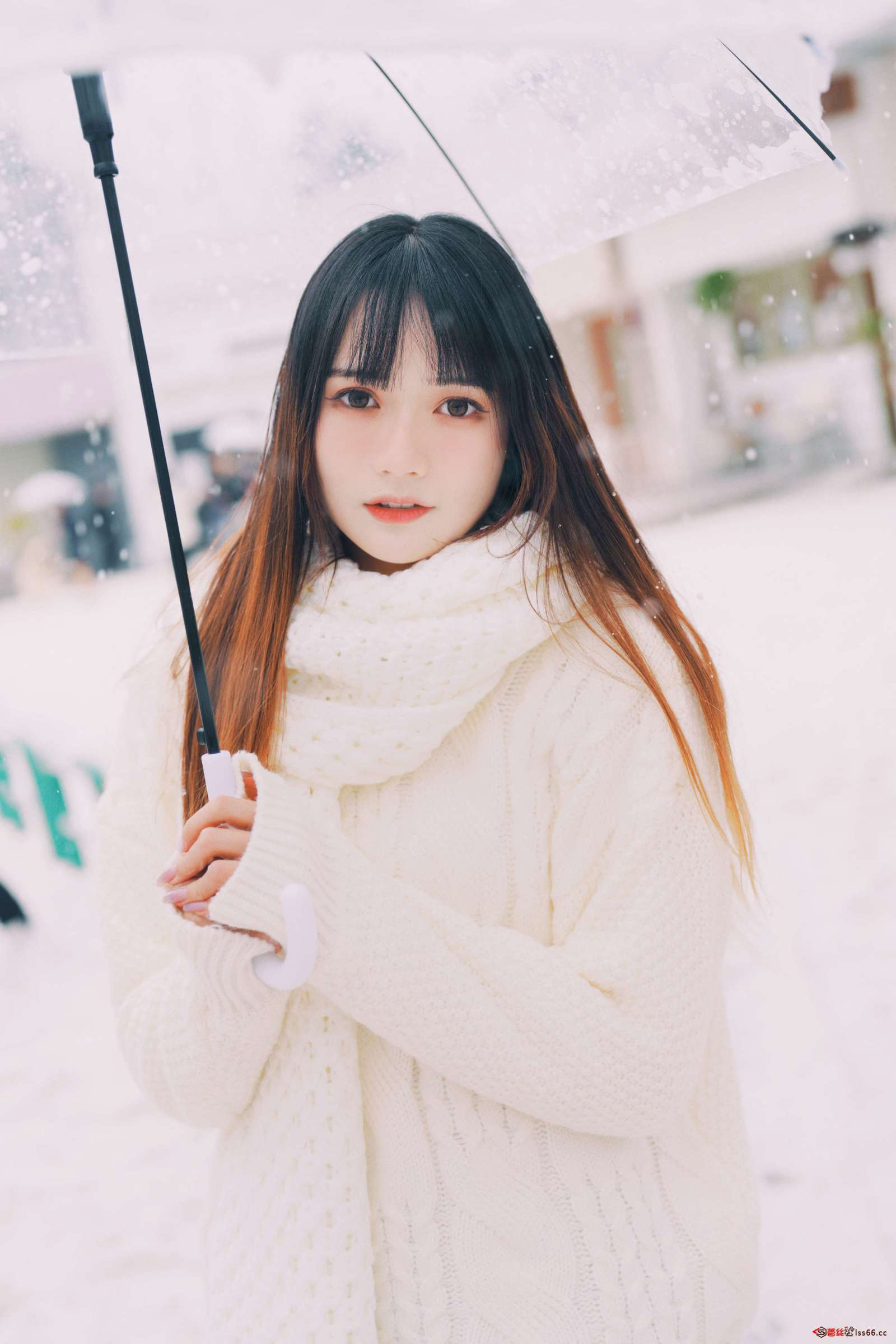 https://www.lss77.com/wp-content/uploads/2023/01/1673614318-9c3ce93643ed685-1600x2400.jpg