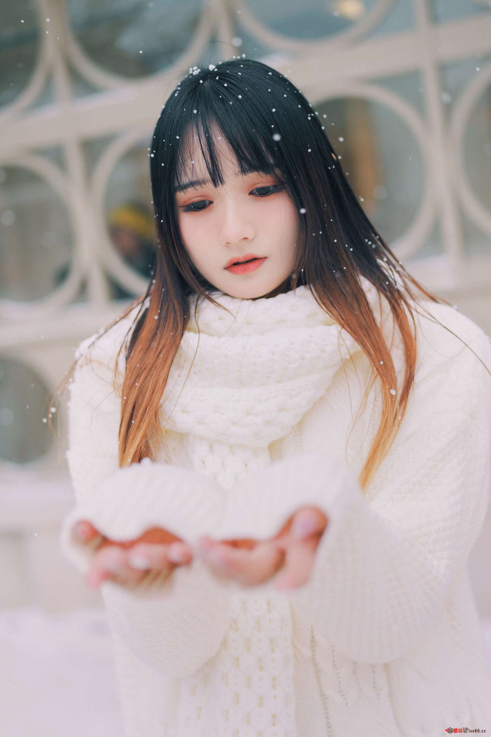 https://www.lss77.com/wp-content/uploads/2023/01/1673614330-f803dfeb3583d50-1600x2400.jpg