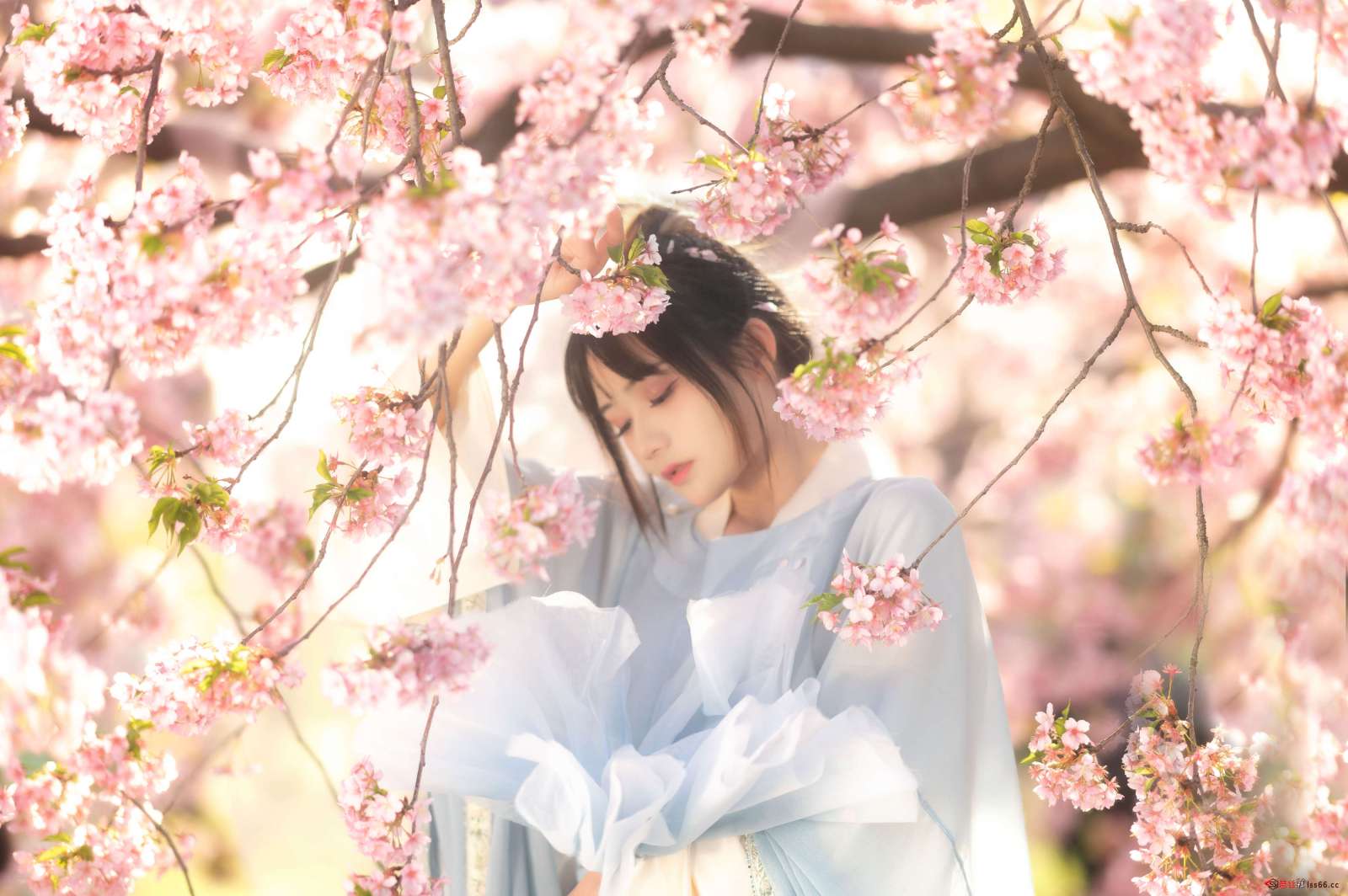https://www.lss77.com/wp-content/uploads/2023/01/1673694612-11364907cf269dd-1600x1064.jpg