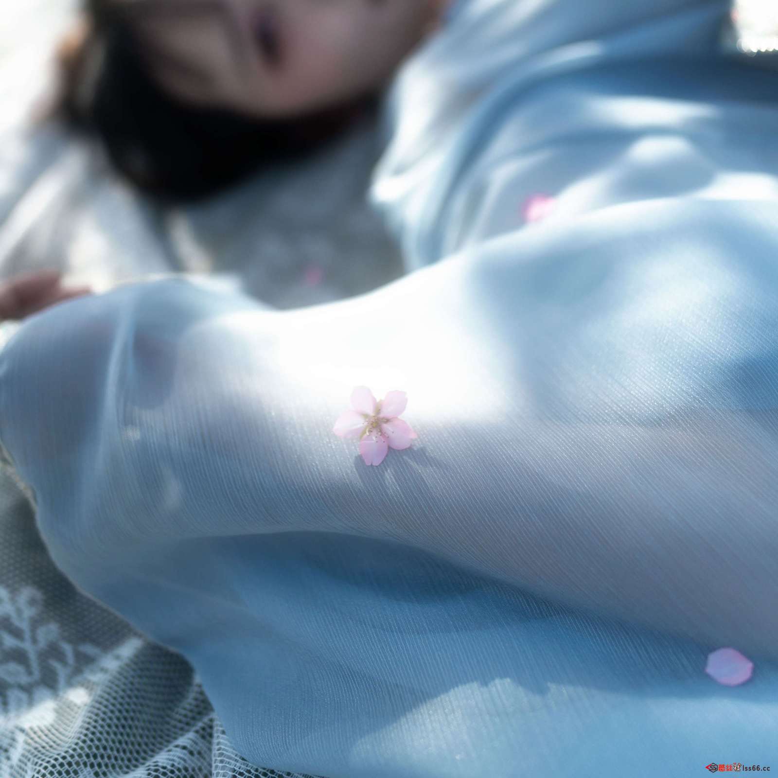 https://www.lss77.com/wp-content/uploads/2023/01/1673694777-441954d29ad2a37-1600x1600.jpg