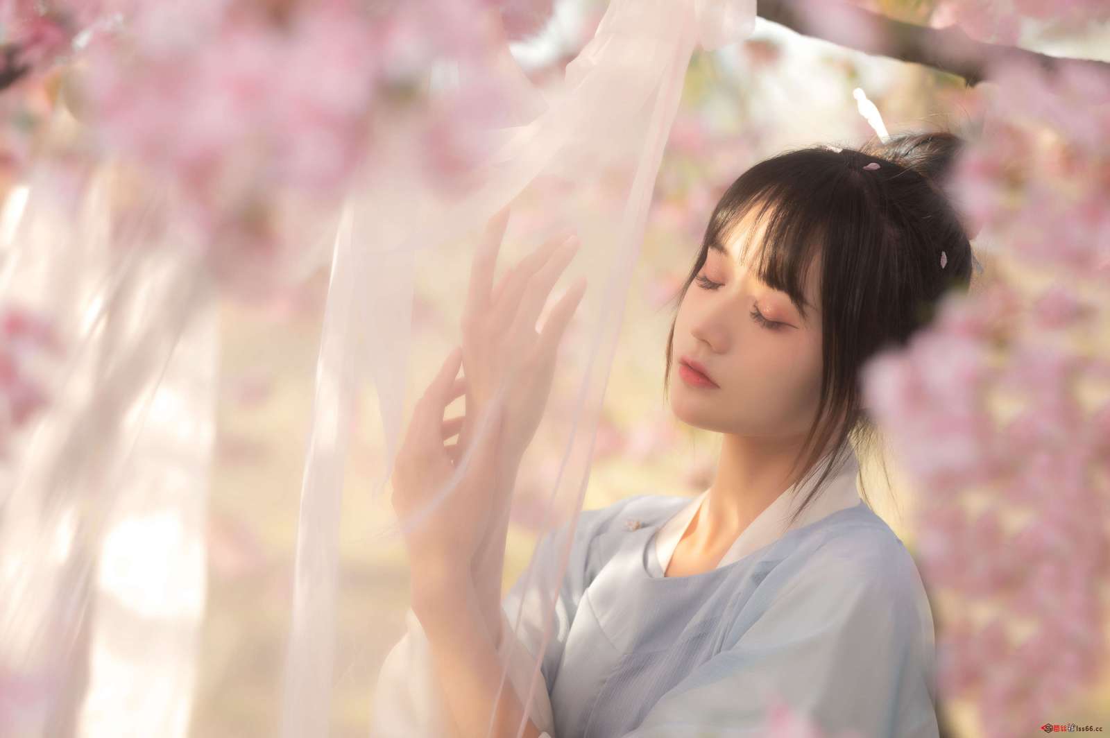 https://www.lss77.com/wp-content/uploads/2023/01/1673694907-9c3ce93643ed685-1600x1064.jpg