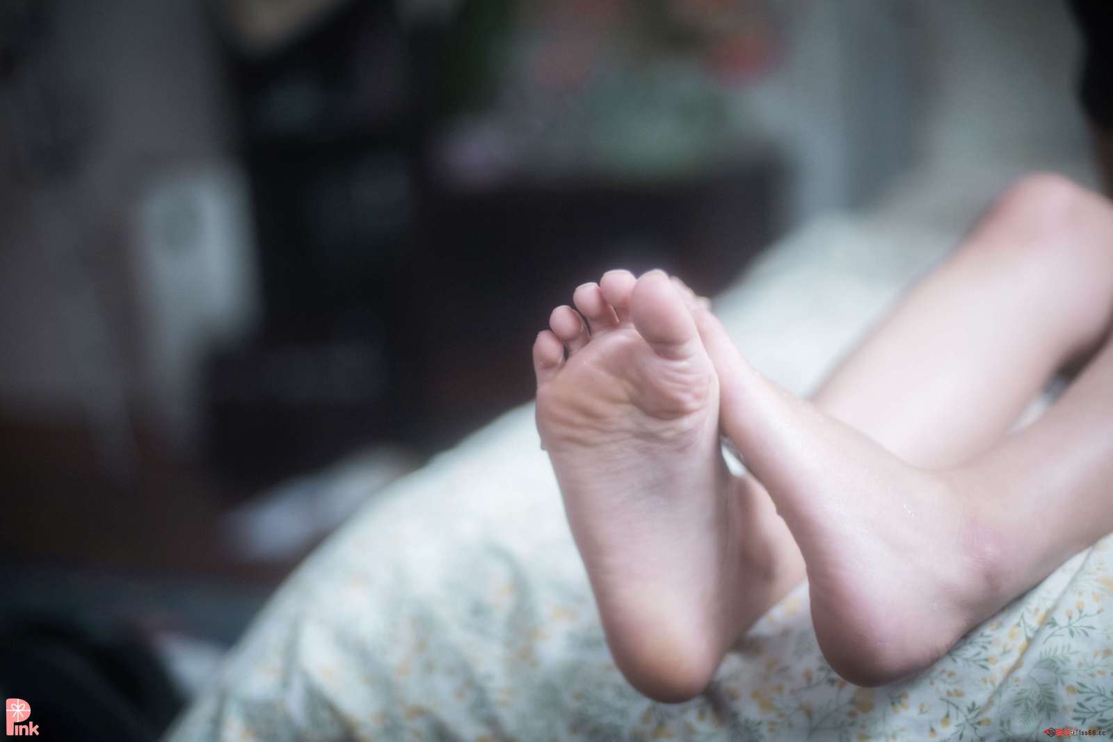https://www.lss77.com/wp-content/uploads/2023/01/1673711085-5e9167571c4fdf5-1600x1067.jpg