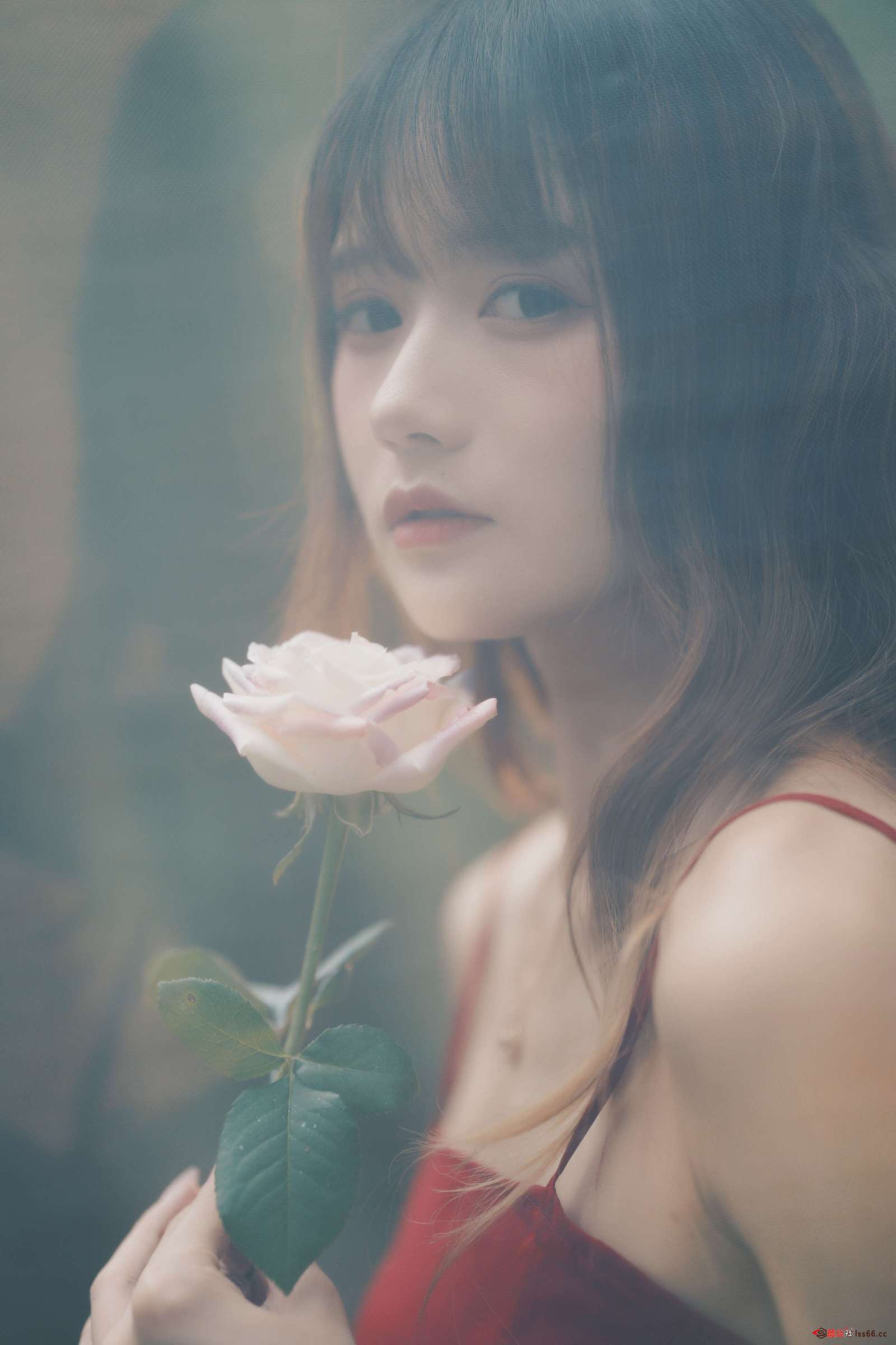 https://www.lss77.com/wp-content/uploads/2023/01/1673865629-11364907cf269dd-1600x2400.jpg