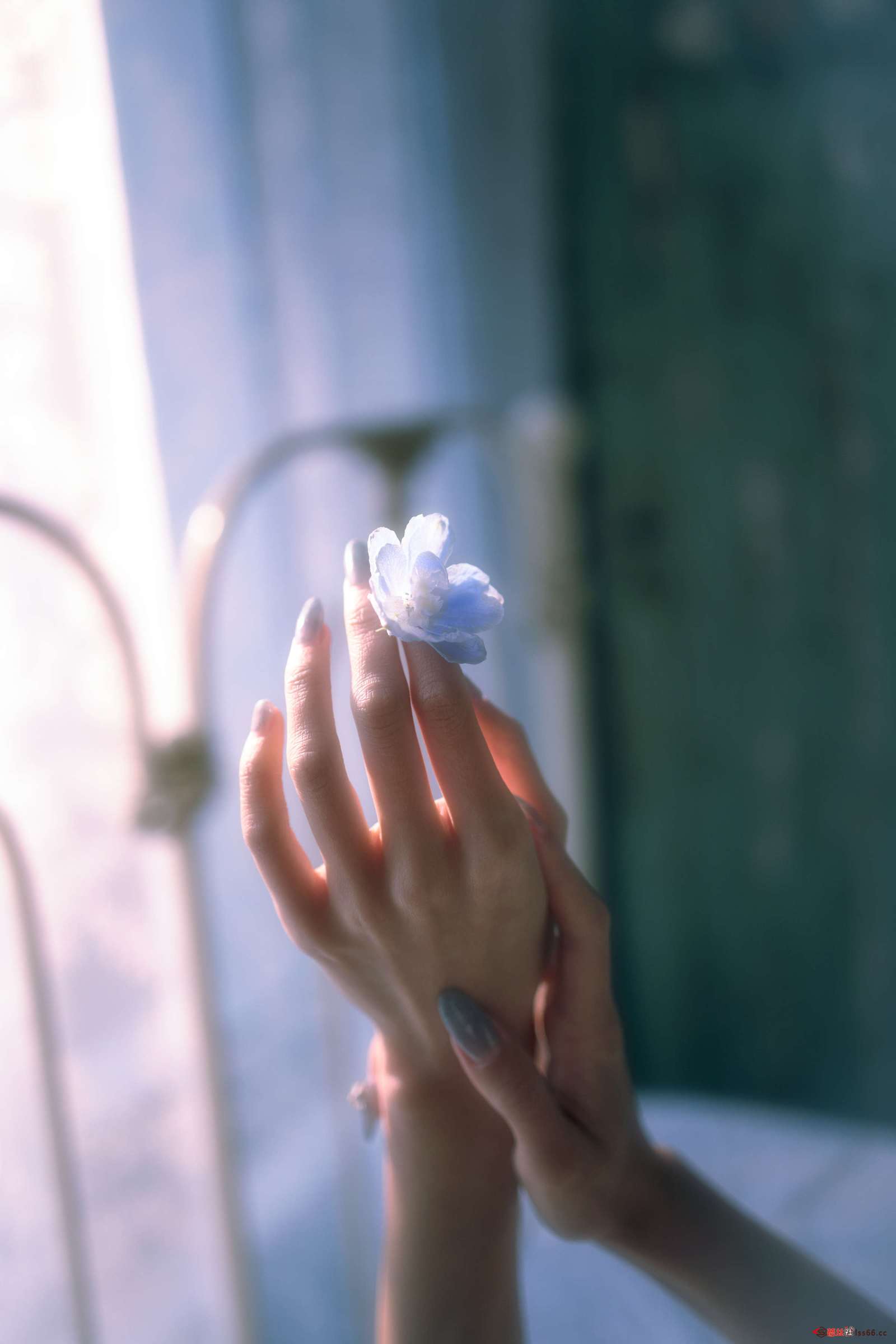 https://www.lss77.com/wp-content/uploads/2023/01/1673865768-738cccd4fda1724-1600x2400.jpg