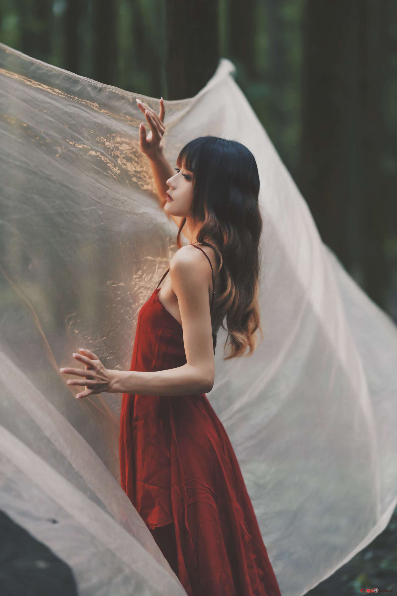 https://www.lss77.com/wp-content/uploads/2023/01/1673865953-c4de9fe96832a87-1600x2400.jpg