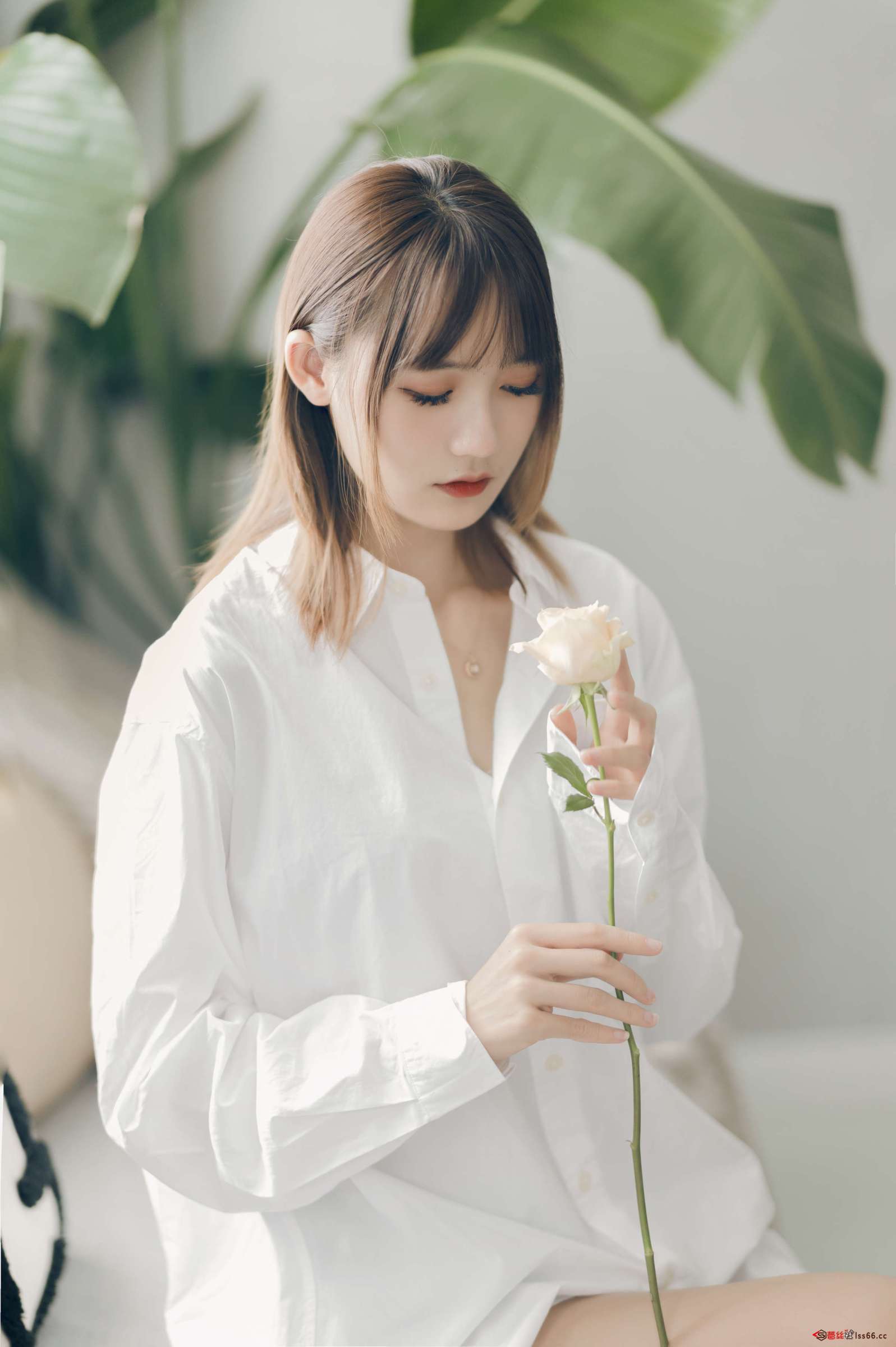 https://www.lss77.com/wp-content/uploads/2023/01/1673941374-8fc4c7ab4453d24-1597x2400.jpg