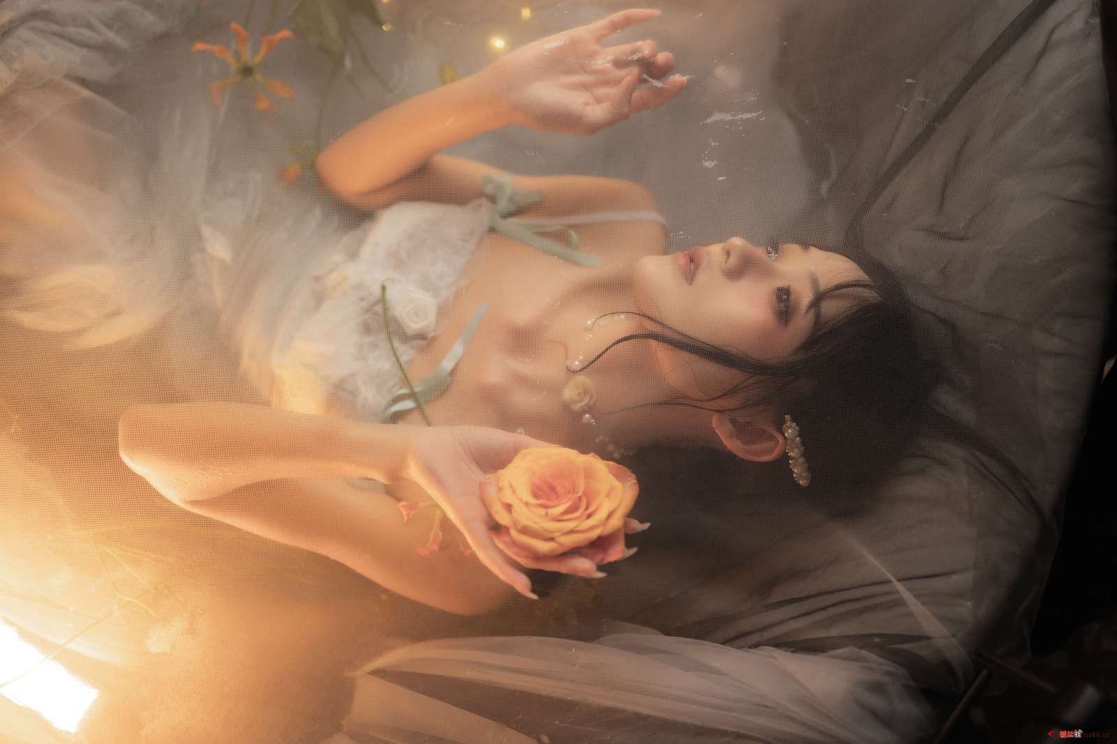 https://www.lss77.com/wp-content/uploads/2023/01/1673951414-93dd4de5cddba2c-1600x1067.jpg