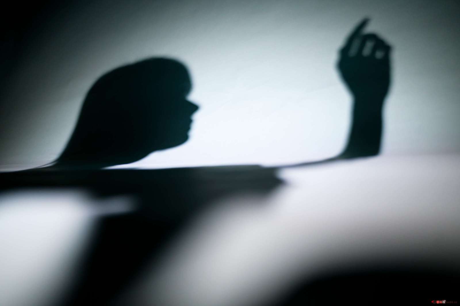 https://www.lss77.com/wp-content/uploads/2023/01/1673951465-93dd4de5cddba2c-1600x1065.jpg