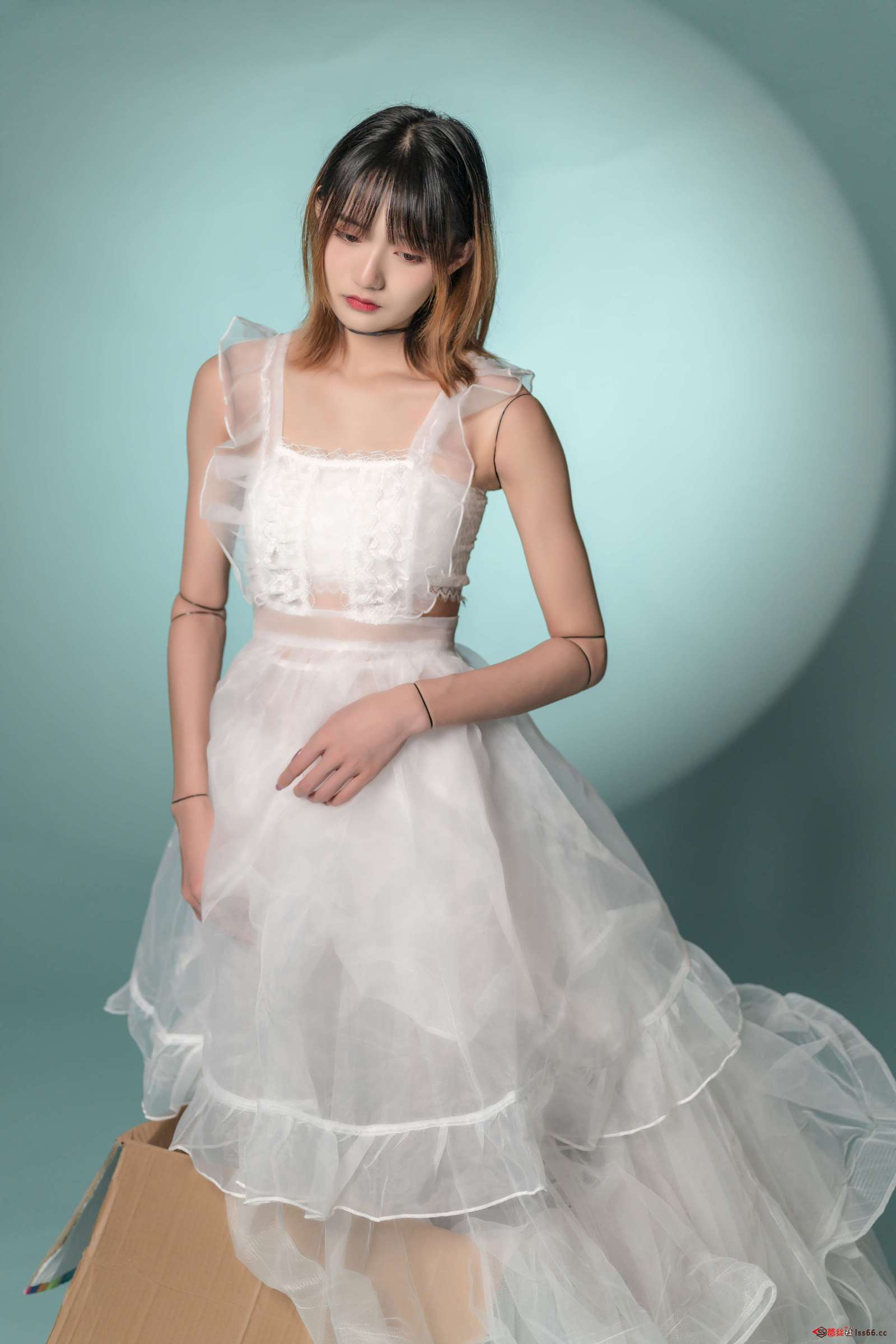 https://www.lss77.com/wp-content/uploads/2023/01/1673951476-e88a49bccde359f-1600x2400.jpg