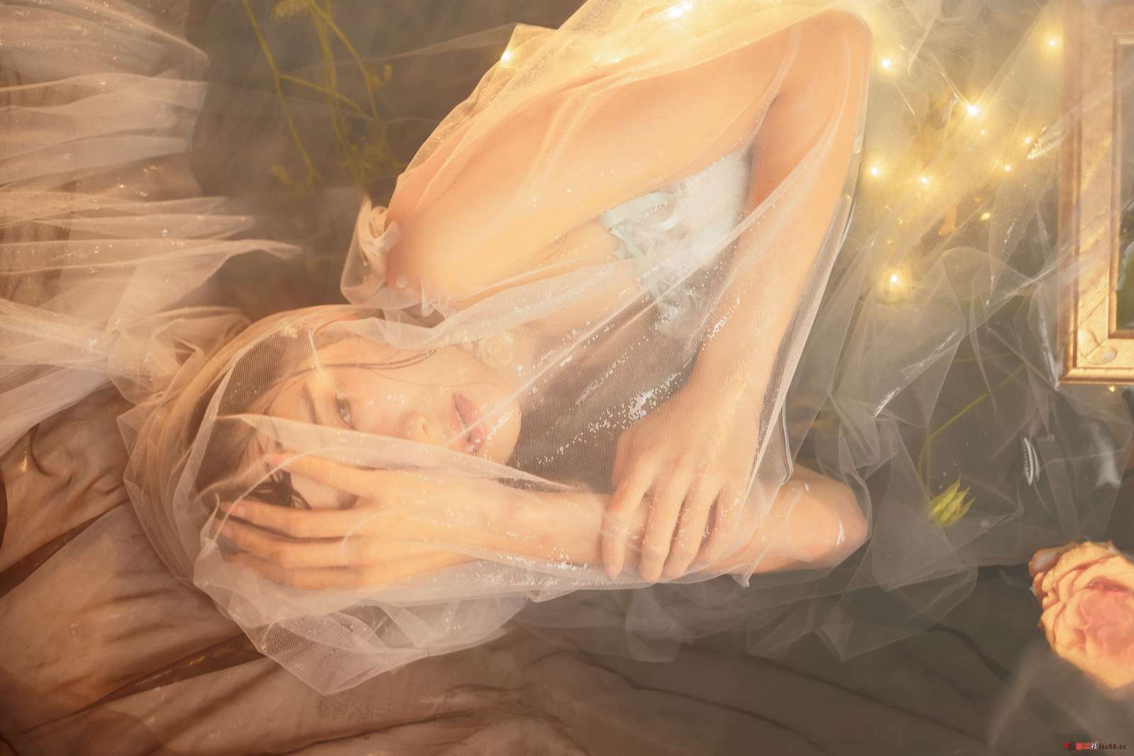 https://www.lss77.com/wp-content/uploads/2023/01/1673951555-ea20a043c08f516-1600x1067.jpg