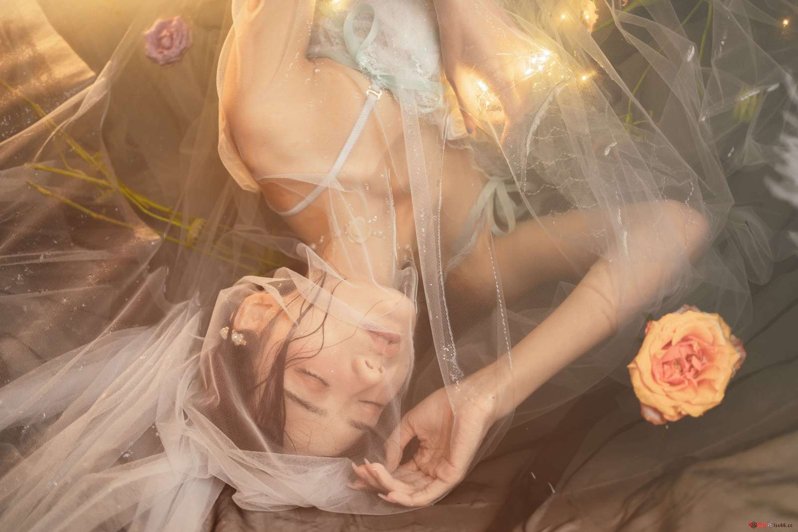 https://www.lss77.com/wp-content/uploads/2023/01/1673951581-441954d29ad2a37-1600x1067.jpg