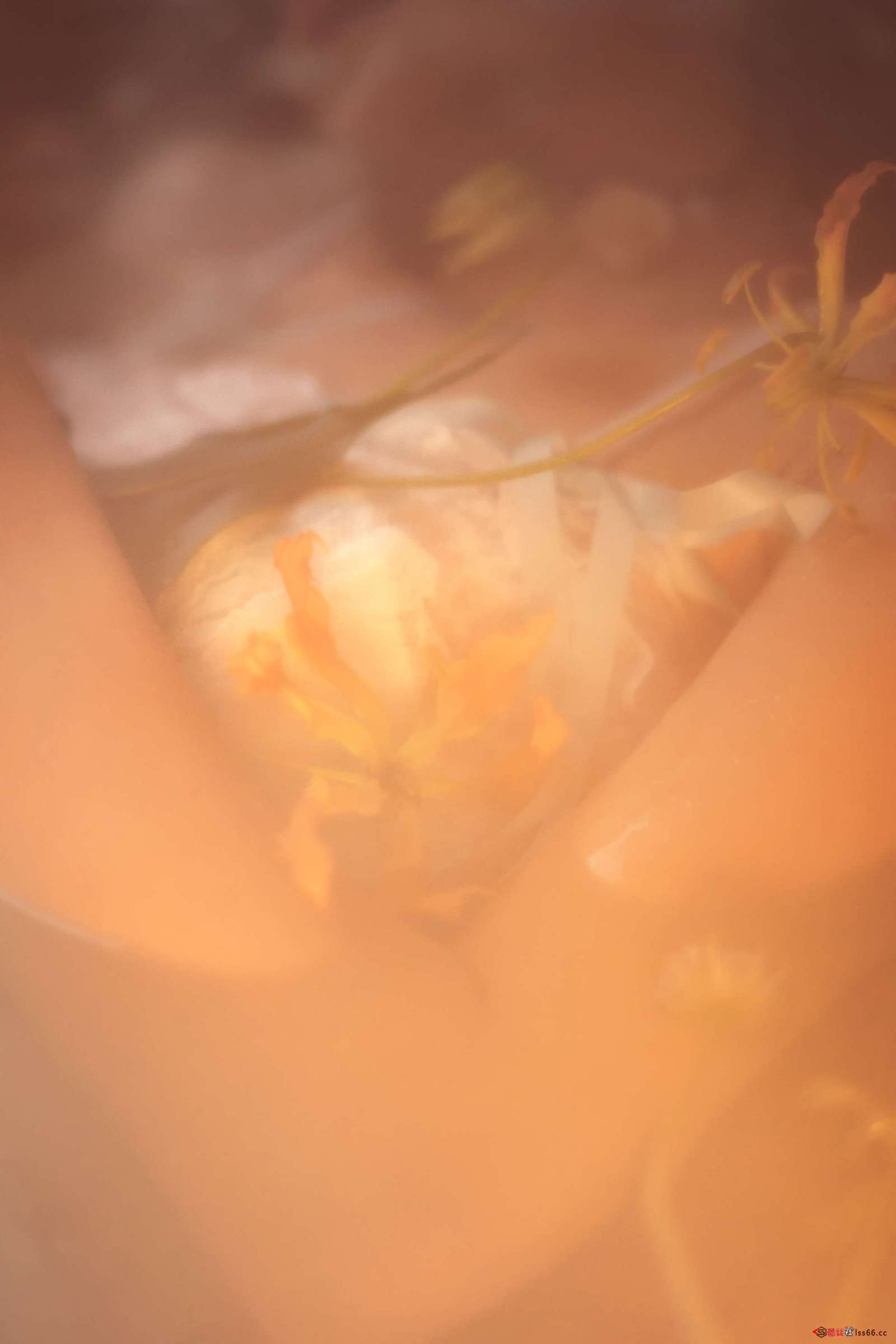 https://www.lss77.com/wp-content/uploads/2023/01/1673951695-8f03ad02c6cad60-1600x2400.jpg