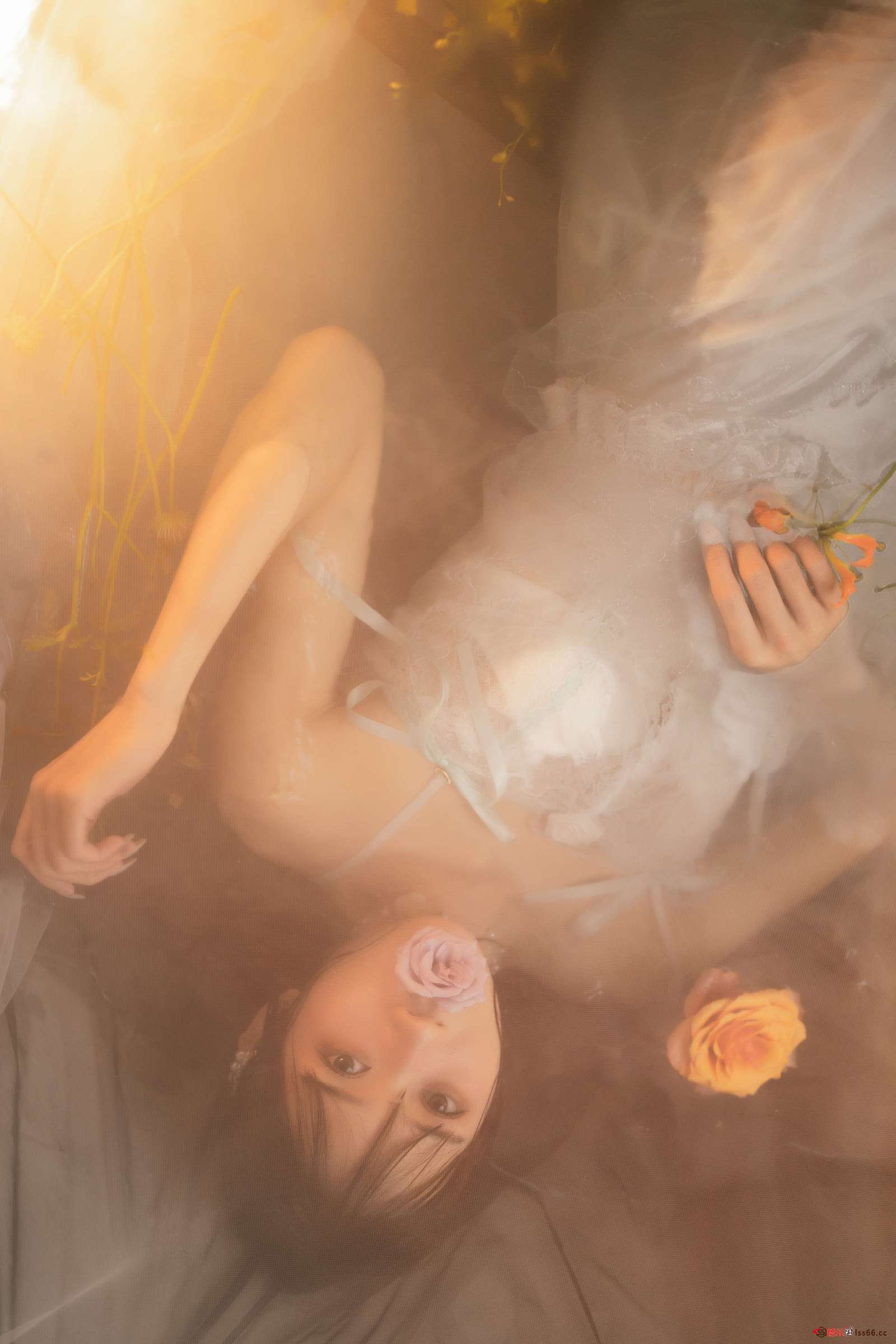https://www.lss77.com/wp-content/uploads/2023/01/1673951847-3994f23bfb2b899-1600x2400.jpg