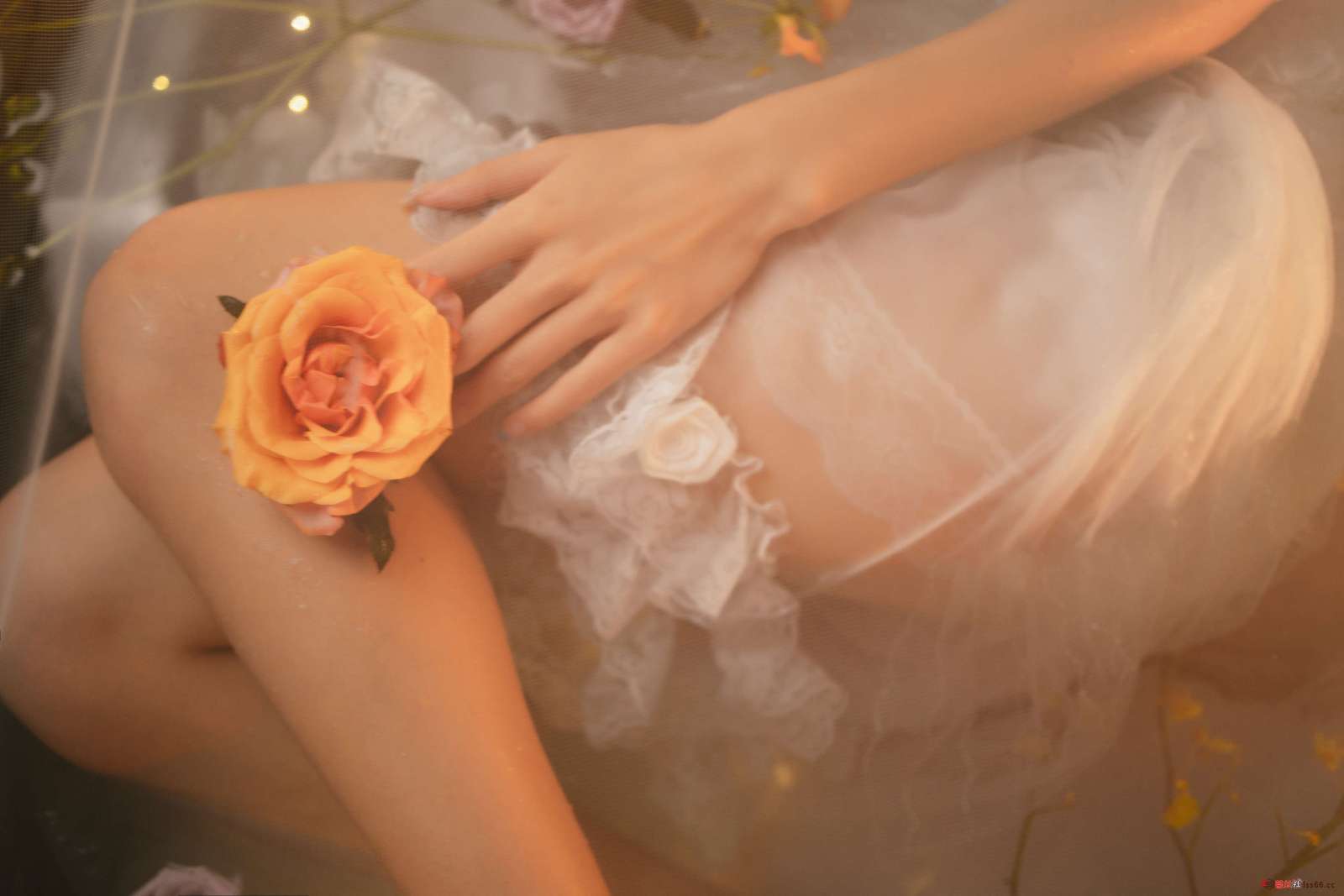 https://www.lss77.com/wp-content/uploads/2023/01/1673951851-cf2e4f52be52a8f-1600x1067.jpg
