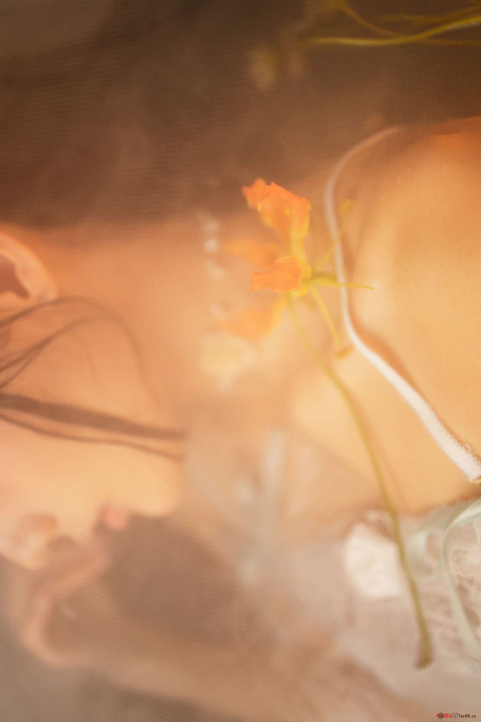 https://www.lss77.com/wp-content/uploads/2023/01/1673951859-5c7d5705ab73466-1600x2400.jpg