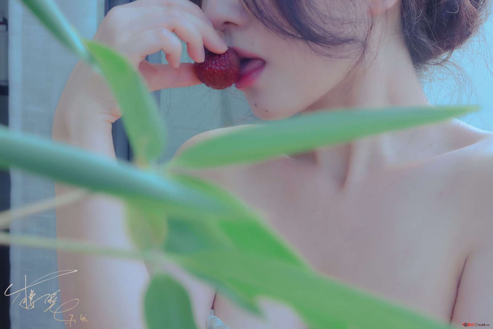 https://www.lss77.com/wp-content/uploads/2023/01/1674666573-a13ee062eff9d72-1600x1067.jpg