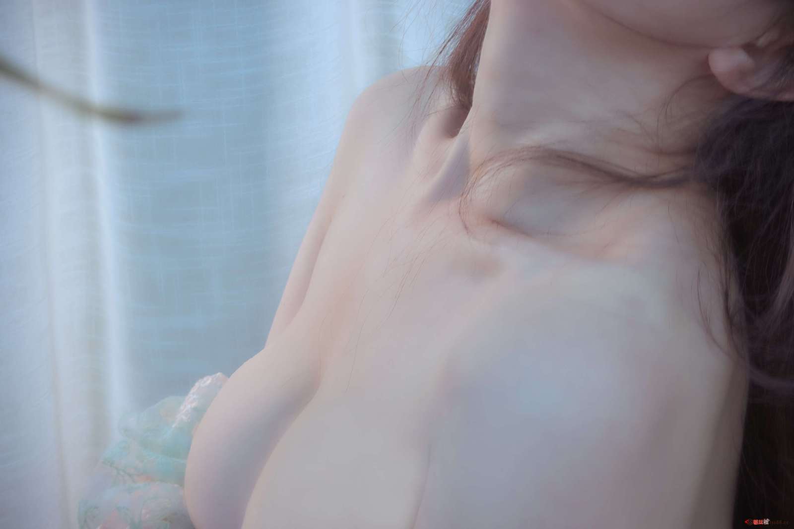 https://www.lss77.com/wp-content/uploads/2023/01/1674666756-7f5144f962efde7-1600x1067.jpg