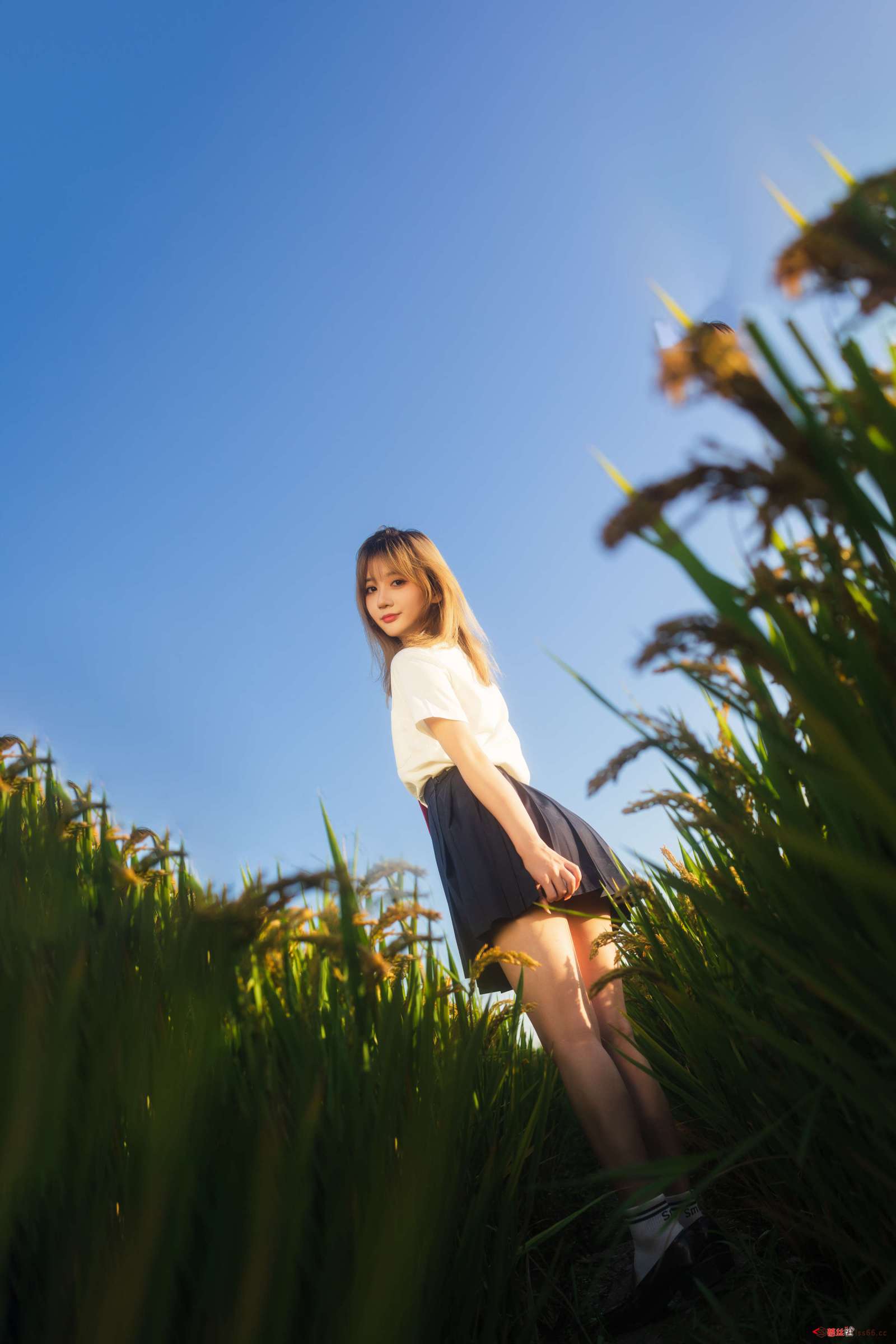 https://www.lss77.com/wp-content/uploads/2023/01/1674797069-9c3ce93643ed685-1600x2400.jpg