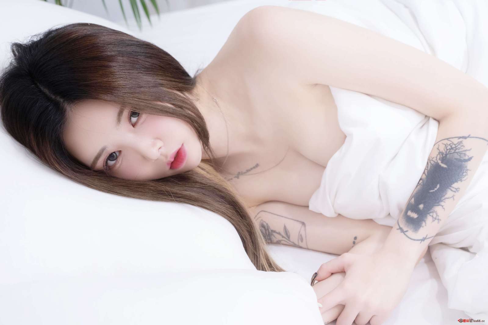 https://www.lss77.com/wp-content/uploads/2023/01/1674803925-7f5144f962efde7-1600x1067.jpg