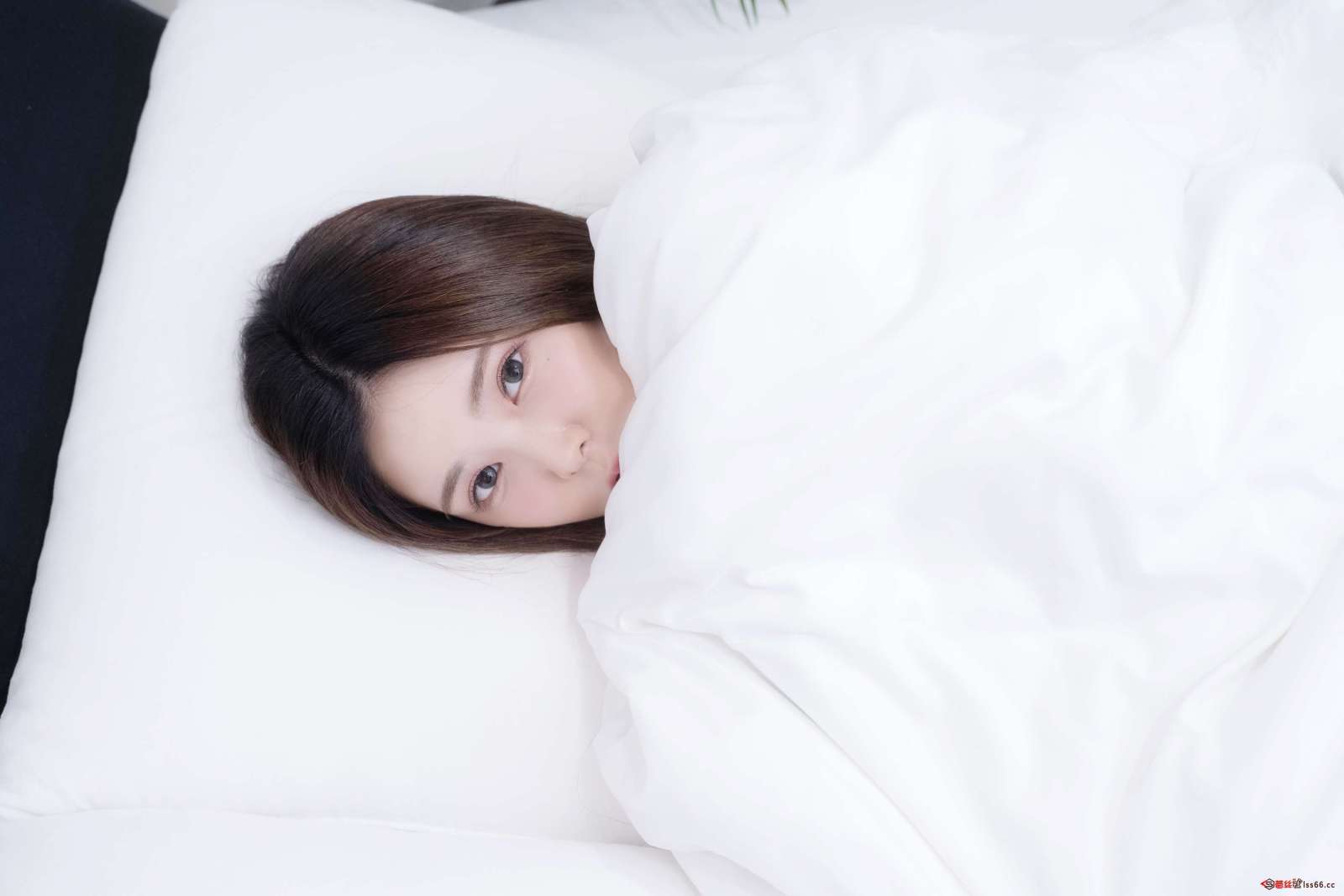 https://www.lss77.com/wp-content/uploads/2023/01/1674803933-8fc4c7ab4453d24-1600x1067.jpg