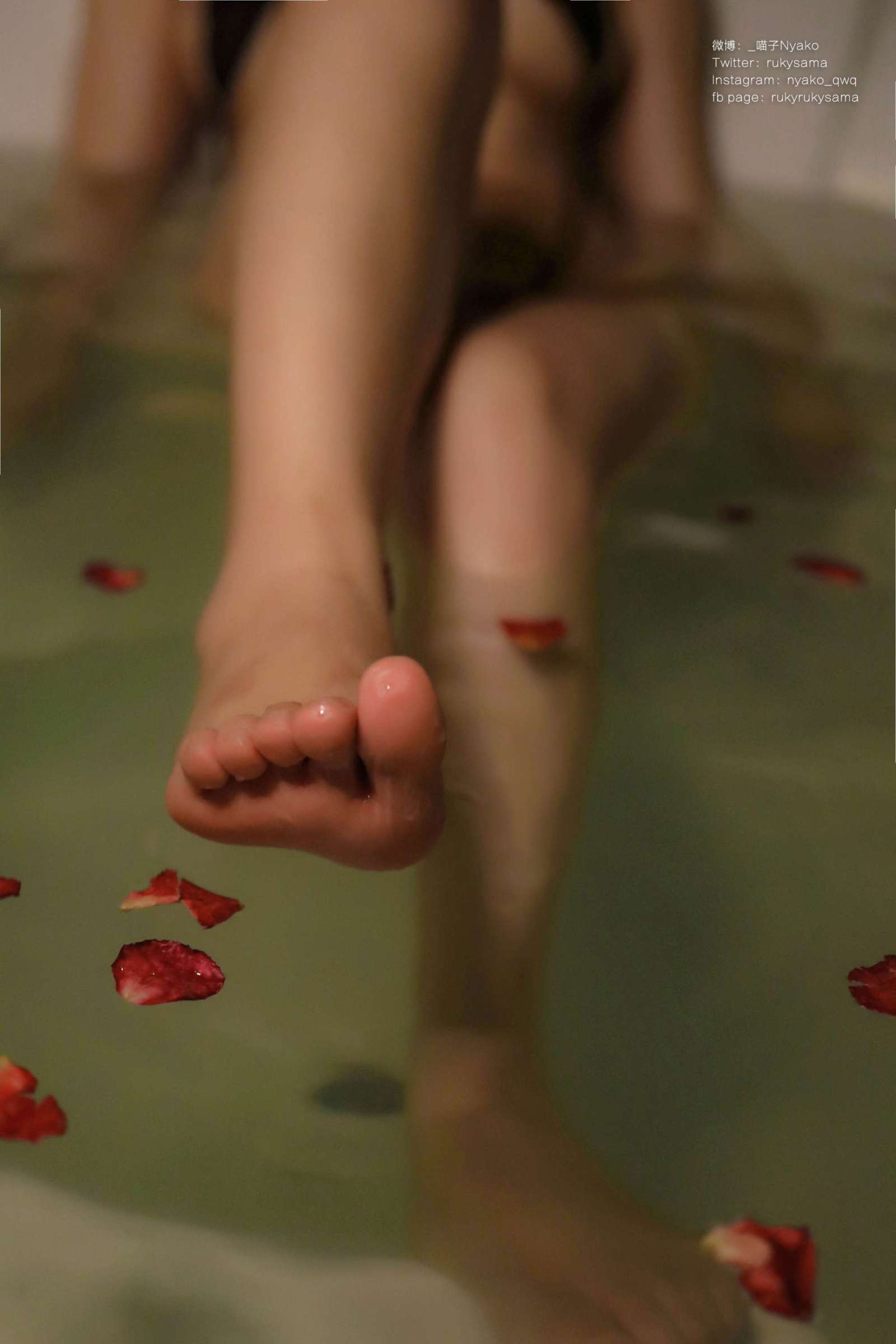 https://www.lss77.com/wp-content/uploads/2023/01/1674804866-65ded5353c5ee48-1600x2400.jpg